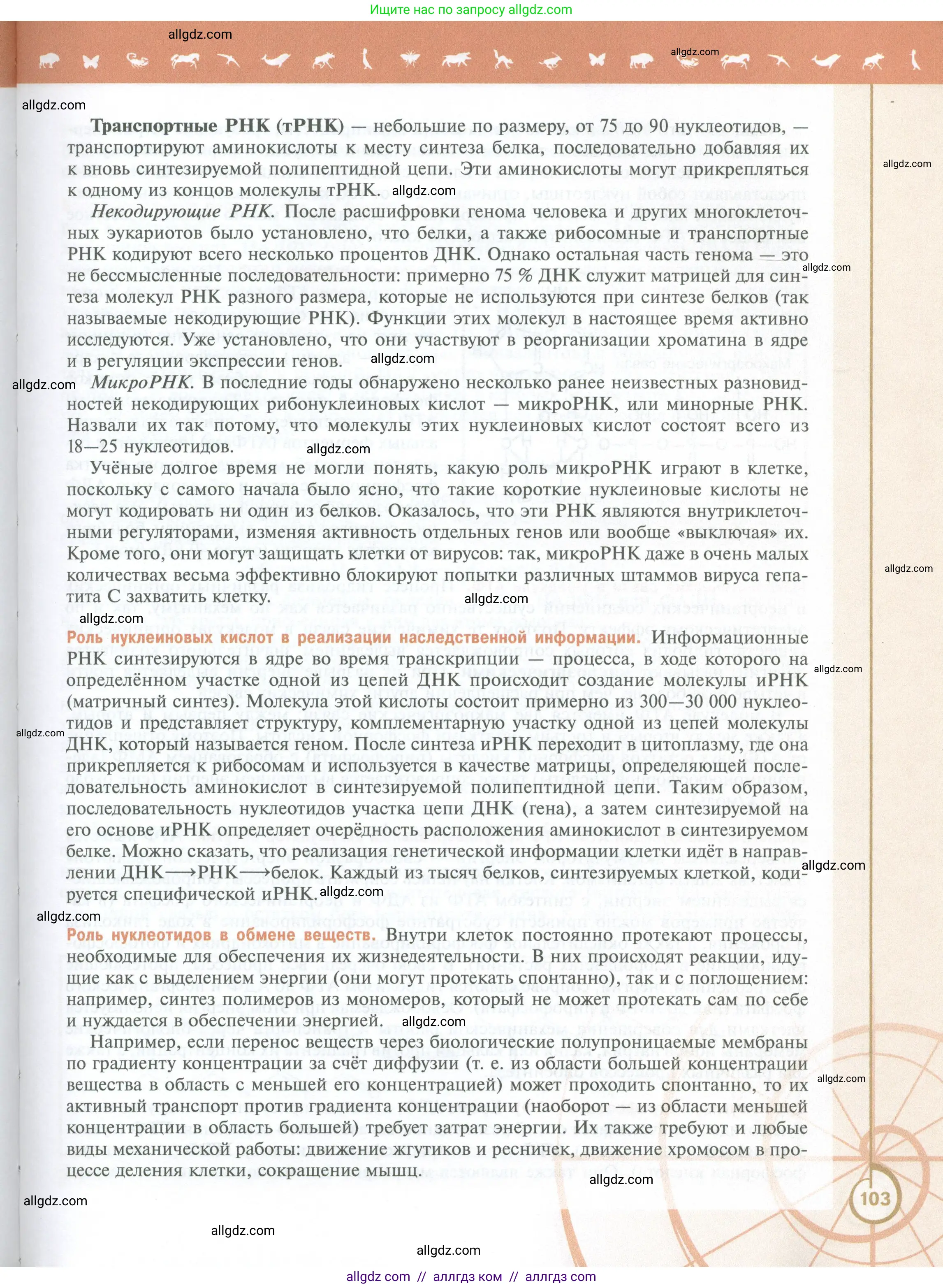 Биология, 10 класс Учебник, авторы: Пасечник Владимир Васильевич, Каменский Андрей Александрович, Рубцов Александр Михайлович, Швецов Глеб Геннадьевич, Абовян Леван Арташесович, Гапонюк Зоя Георгиевна, издательство Просвещение, Москва, 2024, коричневого цвета, страница 103