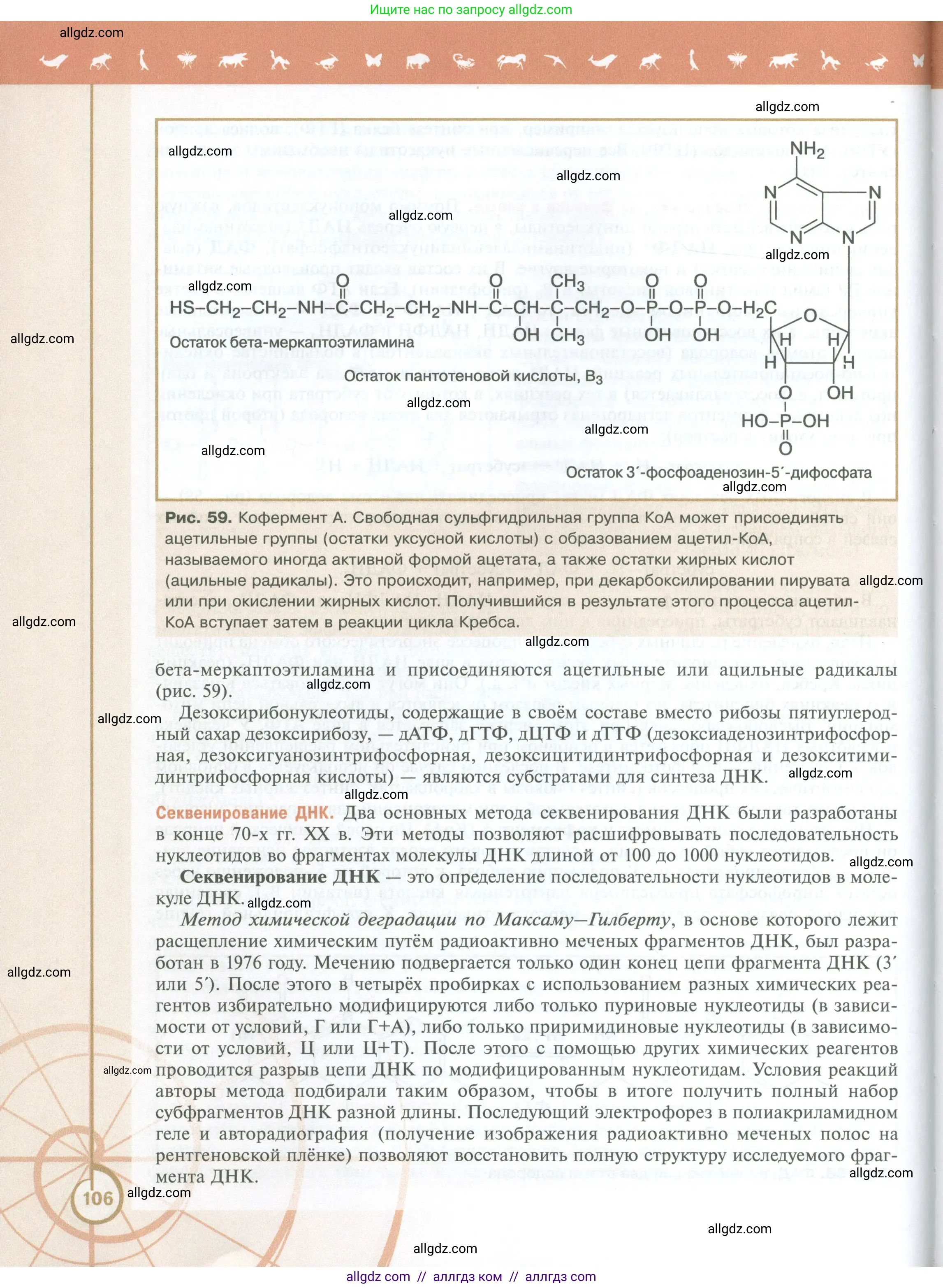 Биология, 10 класс Учебник, авторы: Пасечник Владимир Васильевич, Каменский Андрей Александрович, Рубцов Александр Михайлович, Швецов Глеб Геннадьевич, Абовян Леван Арташесович, Гапонюк Зоя Георгиевна, издательство Просвещение, Москва, 2024, коричневого цвета, страница 106
