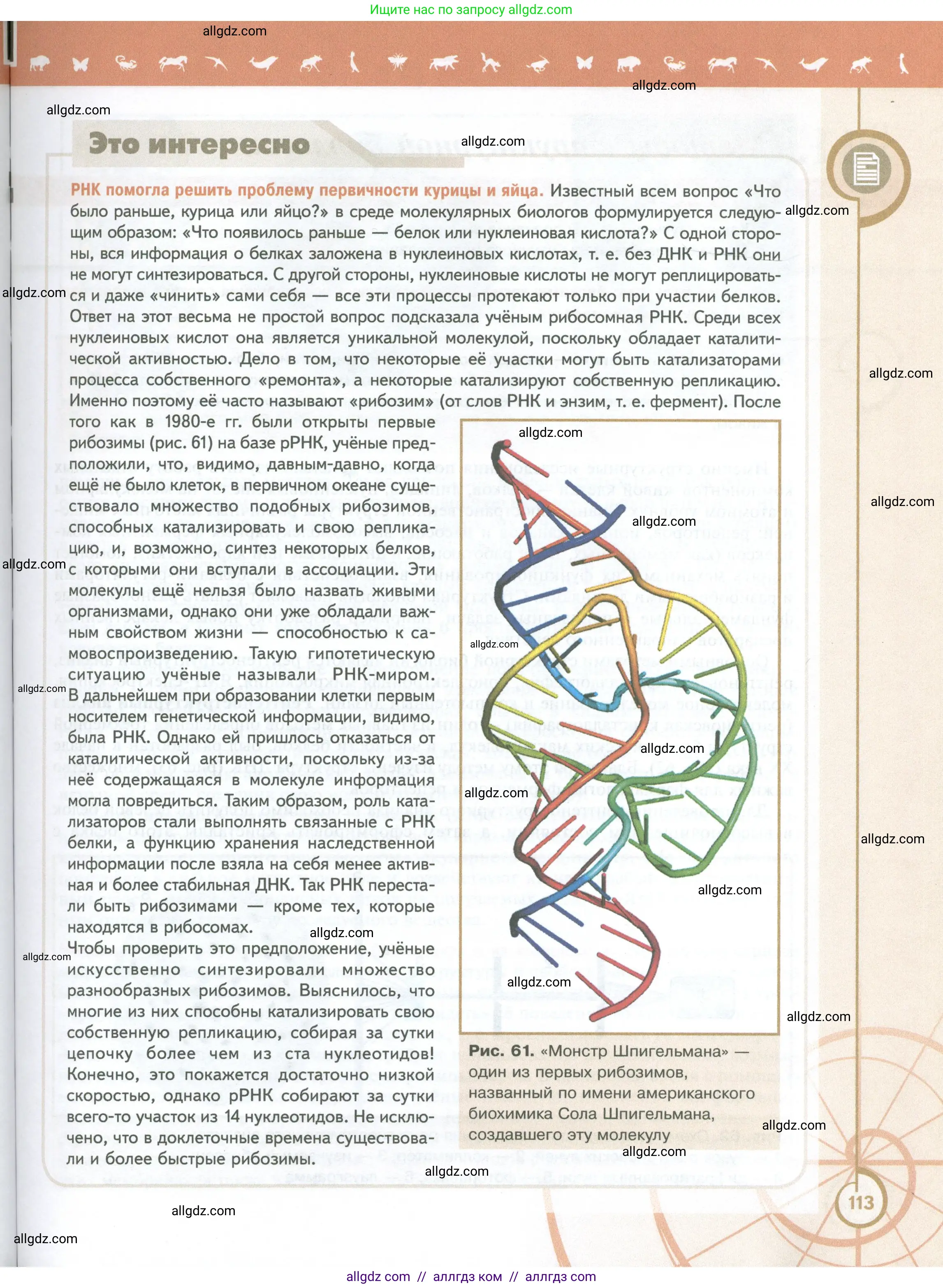 Биология, 10 класс Учебник, авторы: Пасечник Владимир Васильевич, Каменский Андрей Александрович, Рубцов Александр Михайлович, Швецов Глеб Геннадьевич, Абовян Леван Арташесович, Гапонюк Зоя Георгиевна, издательство Просвещение, Москва, 2024, коричневого цвета, страница 113