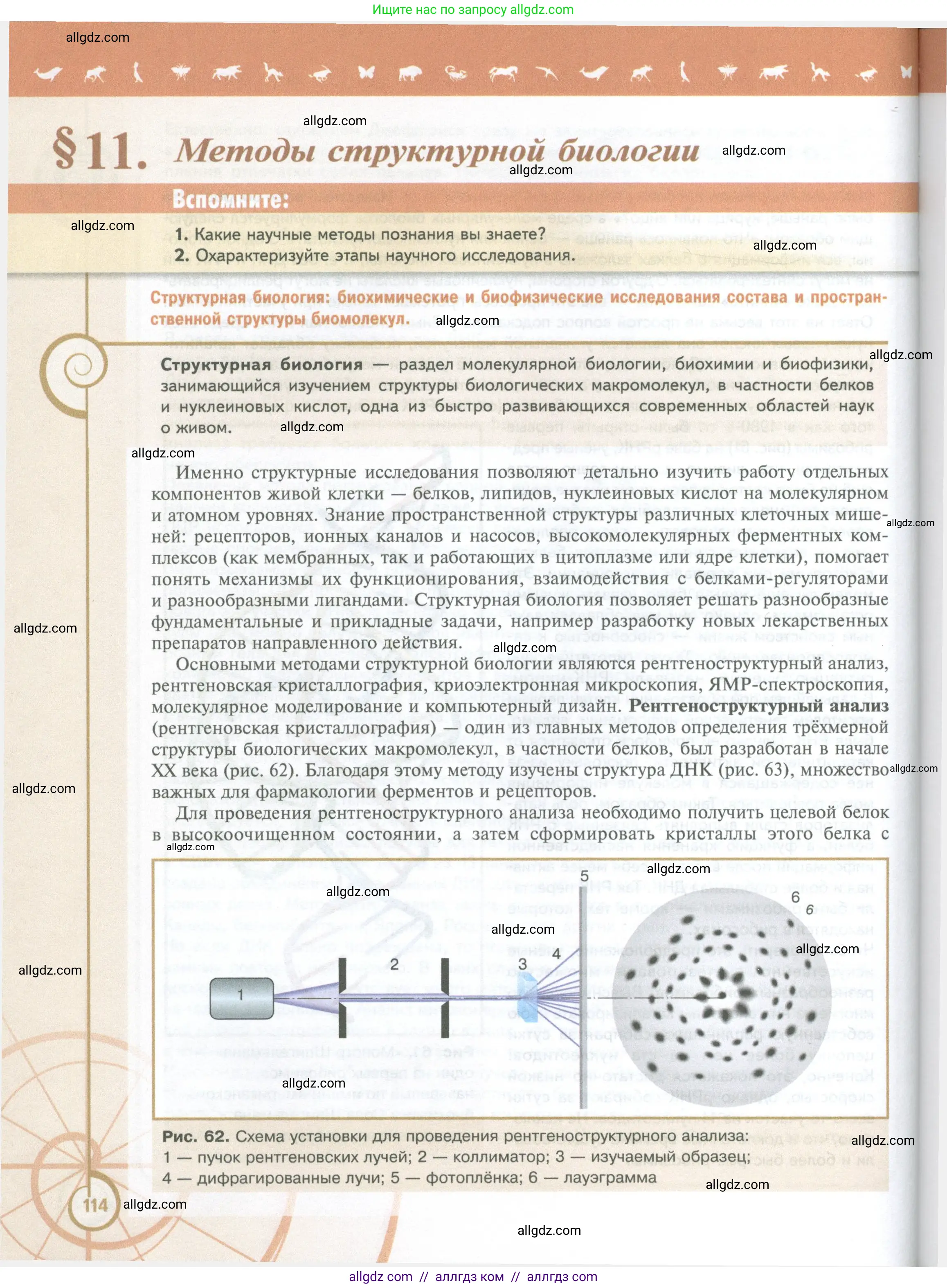 Биология, 10 класс Учебник, авторы: Пасечник Владимир Васильевич, Каменский Андрей Александрович, Рубцов Александр Михайлович, Швецов Глеб Геннадьевич, Абовян Леван Арташесович, Гапонюк Зоя Георгиевна, издательство Просвещение, Москва, 2024, коричневого цвета, Часть 1, страница 114