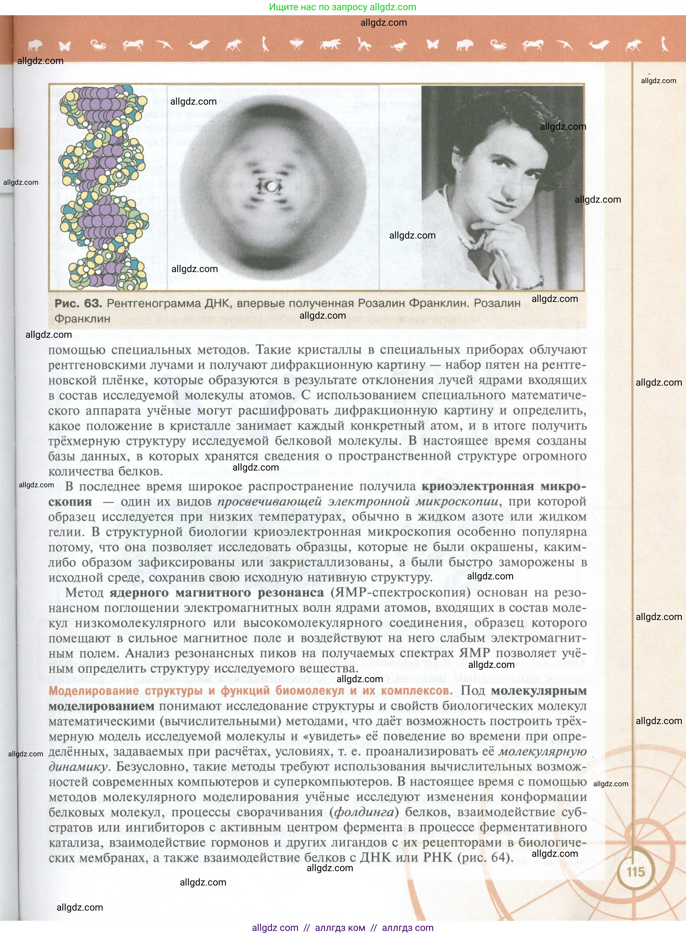 Биология, 10 класс Учебник, авторы: Пасечник Владимир Васильевич, Каменский Андрей Александрович, Рубцов Александр Михайлович, Швецов Глеб Геннадьевич, Абовян Леван Арташесович, Гапонюк Зоя Георгиевна, издательство Просвещение, Москва, 2024, коричневого цвета, страница 115