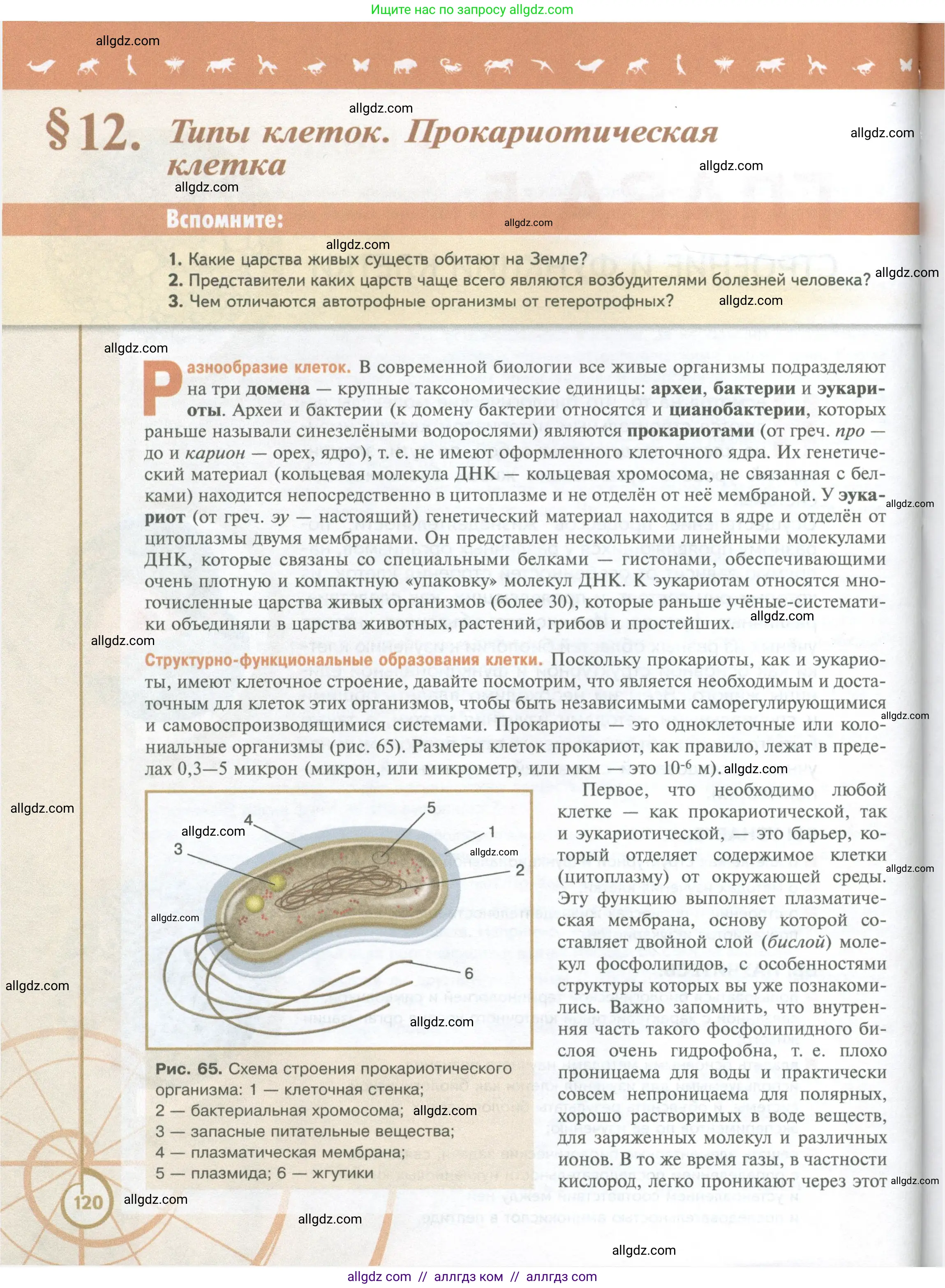 Биология, 10 класс Учебник, авторы: Пасечник Владимир Васильевич, Каменский Андрей Александрович, Рубцов Александр Михайлович, Швецов Глеб Геннадьевич, Абовян Леван Арташесович, Гапонюк Зоя Георгиевна, издательство Просвещение, Москва, 2024, коричневого цвета, Часть 1, страница 120
