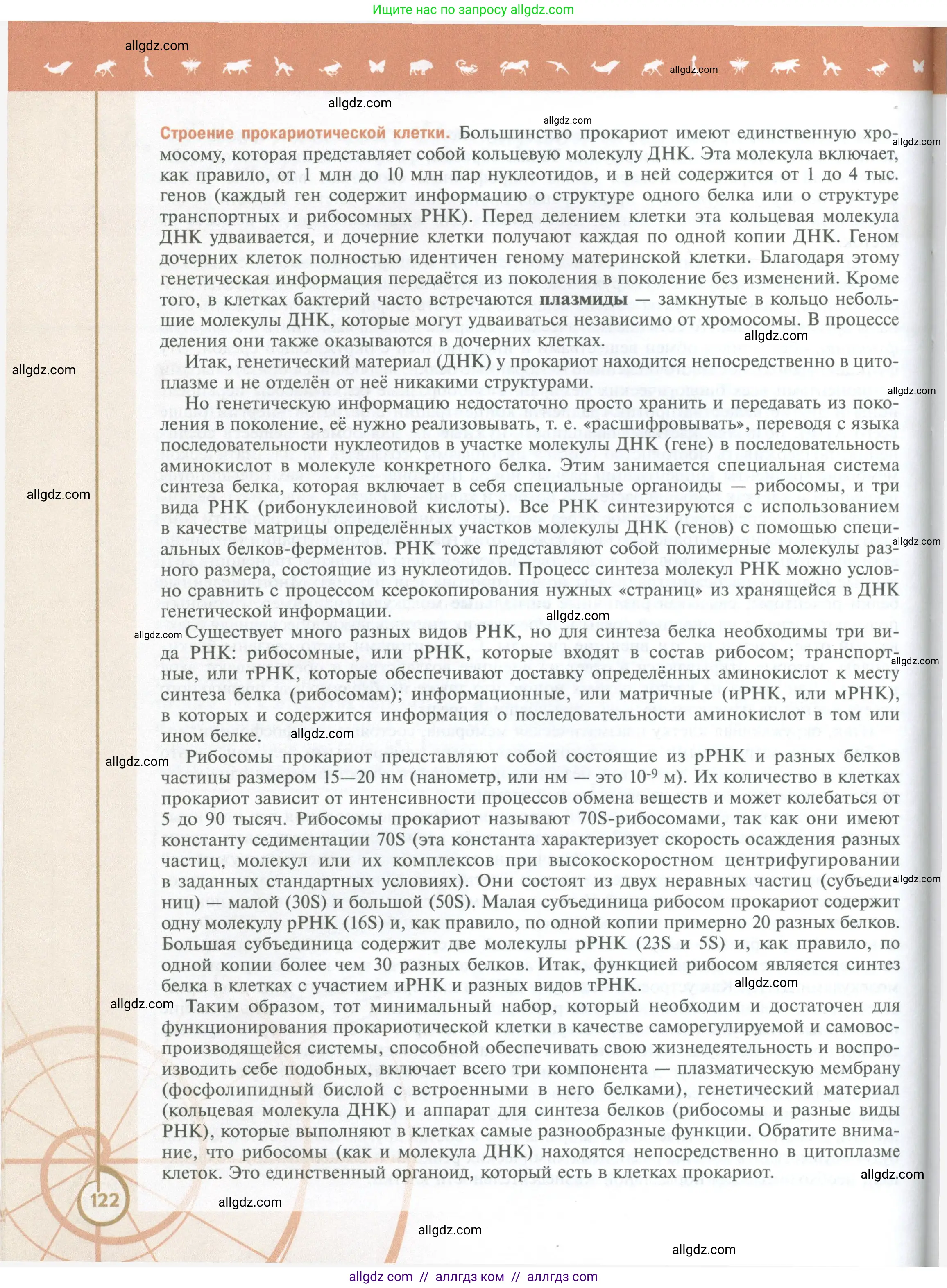 Биология, 10 класс Учебник, авторы: Пасечник Владимир Васильевич, Каменский Андрей Александрович, Рубцов Александр Михайлович, Швецов Глеб Геннадьевич, Абовян Леван Арташесович, Гапонюк Зоя Георгиевна, издательство Просвещение, Москва, 2024, коричневого цвета, страница 122