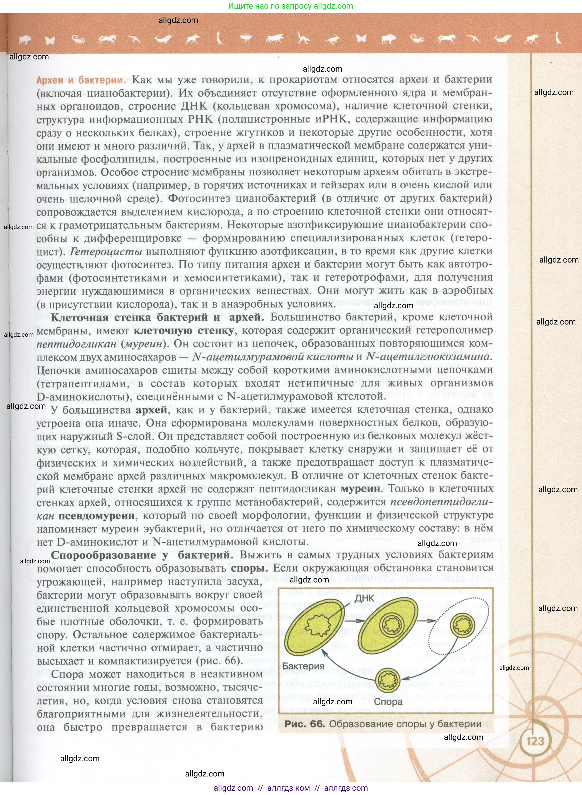 Биология, 10 класс Учебник, авторы: Пасечник Владимир Васильевич, Каменский Андрей Александрович, Рубцов Александр Михайлович, Швецов Глеб Геннадьевич, Абовян Леван Арташесович, Гапонюк Зоя Георгиевна, издательство Просвещение, Москва, 2024, коричневого цвета, страница 123