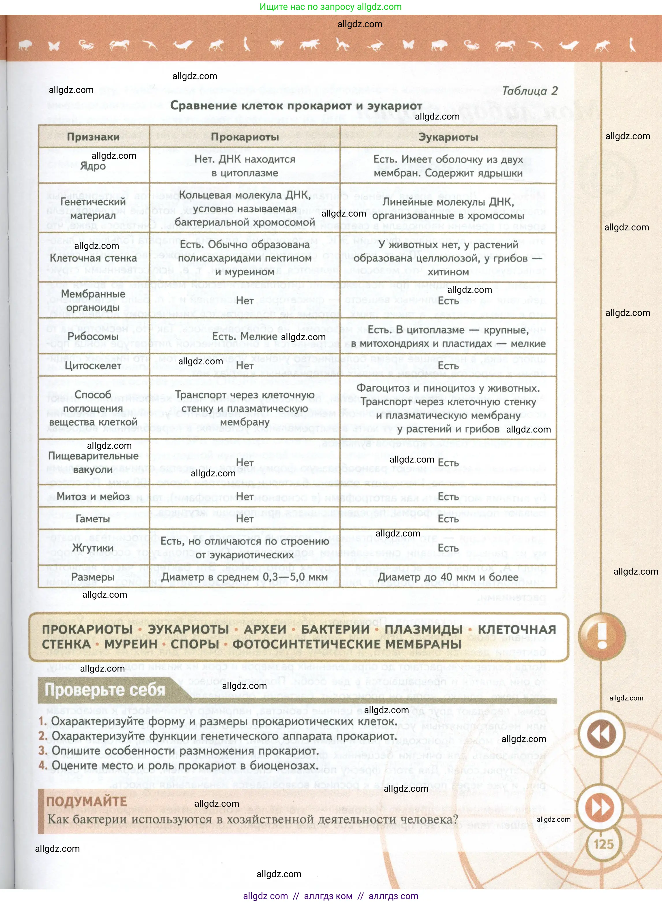 Биология, 10 класс Учебник, авторы: Пасечник Владимир Васильевич, Каменский Андрей Александрович, Рубцов Александр Михайлович, Швецов Глеб Геннадьевич, Абовян Леван Арташесович, Гапонюк Зоя Георгиевна, издательство Просвещение, Москва, 2024, коричневого цвета, Часть 1, страница 125