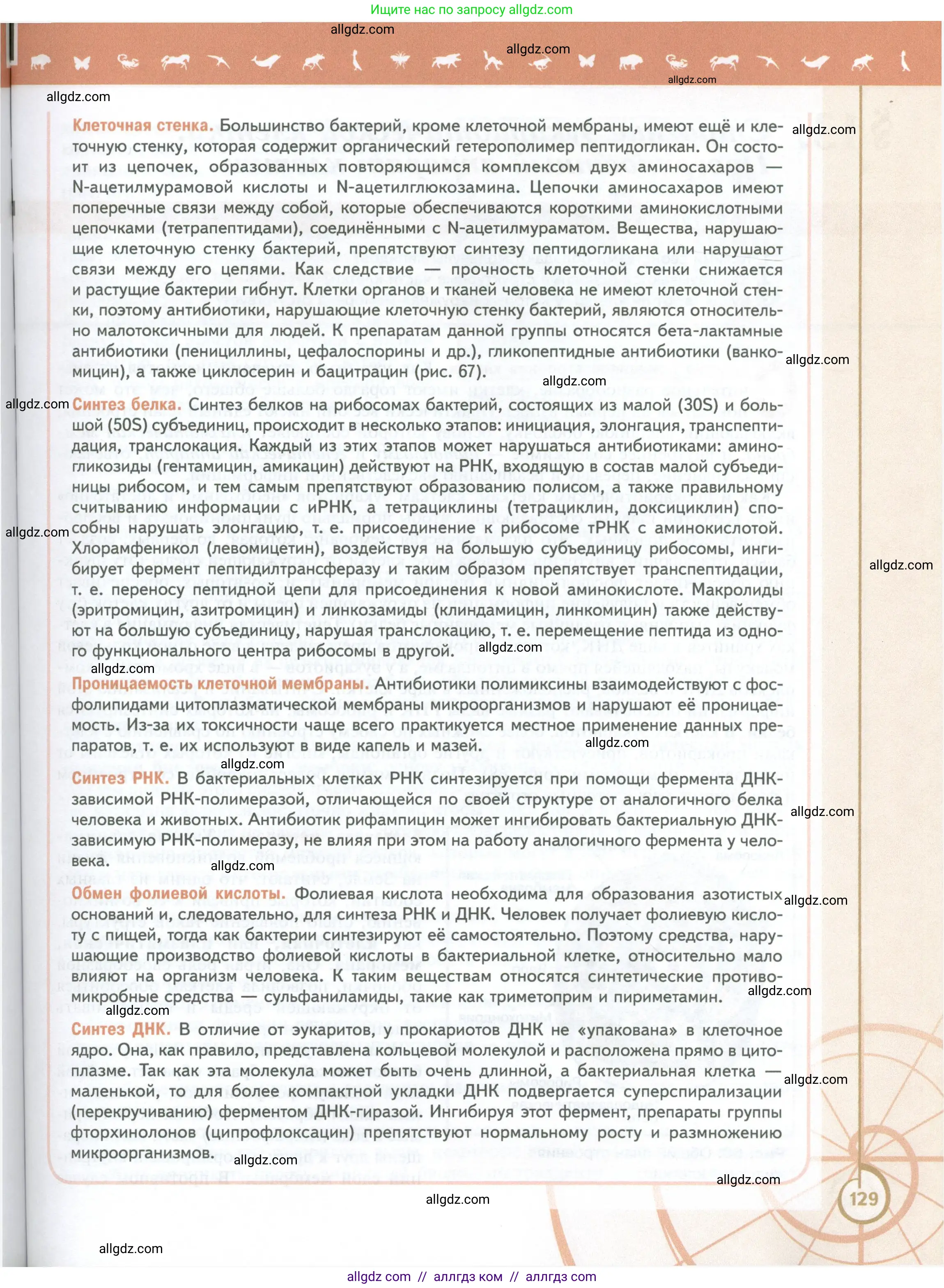 Биология, 10 класс Учебник, авторы: Пасечник Владимир Васильевич, Каменский Андрей Александрович, Рубцов Александр Михайлович, Швецов Глеб Геннадьевич, Абовян Леван Арташесович, Гапонюк Зоя Георгиевна, издательство Просвещение, Москва, 2024, коричневого цвета, страница 129