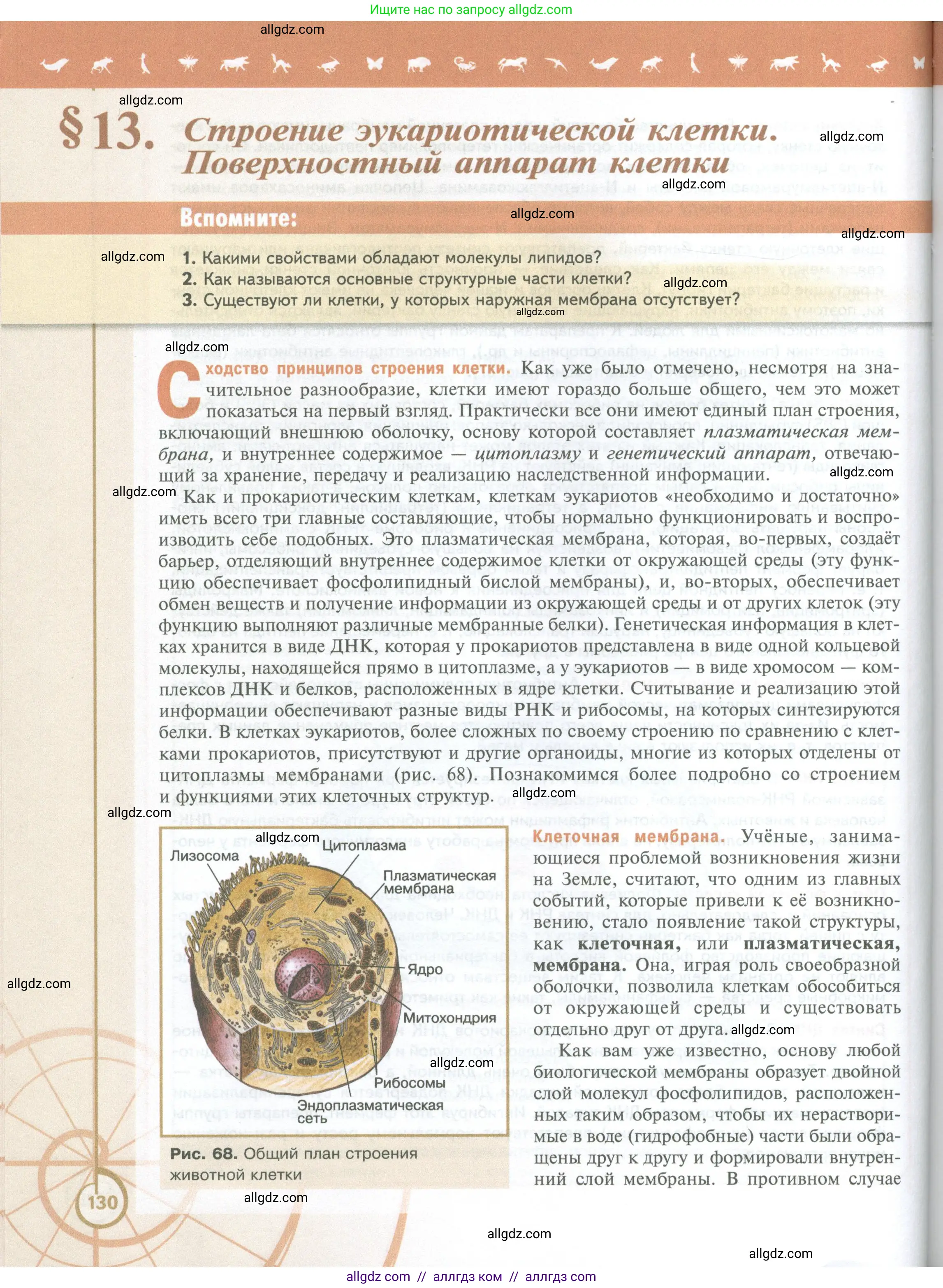 Биология, 10 класс Учебник, авторы: Пасечник Владимир Васильевич, Каменский Андрей Александрович, Рубцов Александр Михайлович, Швецов Глеб Геннадьевич, Абовян Леван Арташесович, Гапонюк Зоя Георгиевна, издательство Просвещение, Москва, 2024, коричневого цвета, Часть 1, страница 130