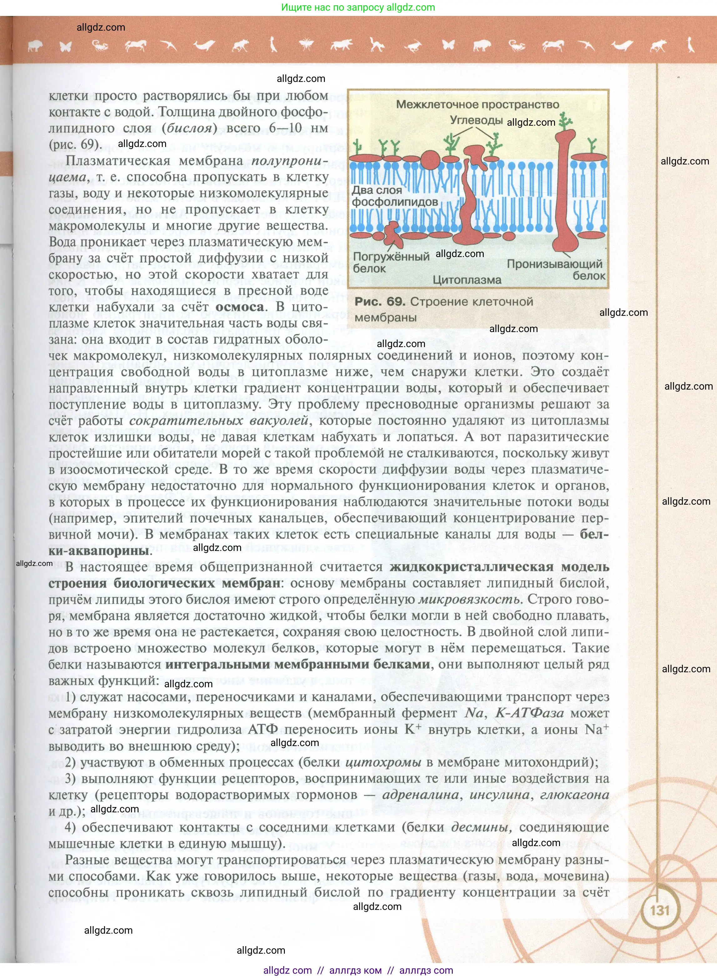 Биология, 10 класс Учебник, авторы: Пасечник Владимир Васильевич, Каменский Андрей Александрович, Рубцов Александр Михайлович, Швецов Глеб Геннадьевич, Абовян Леван Арташесович, Гапонюк Зоя Георгиевна, издательство Просвещение, Москва, 2024, коричневого цвета, страница 131
