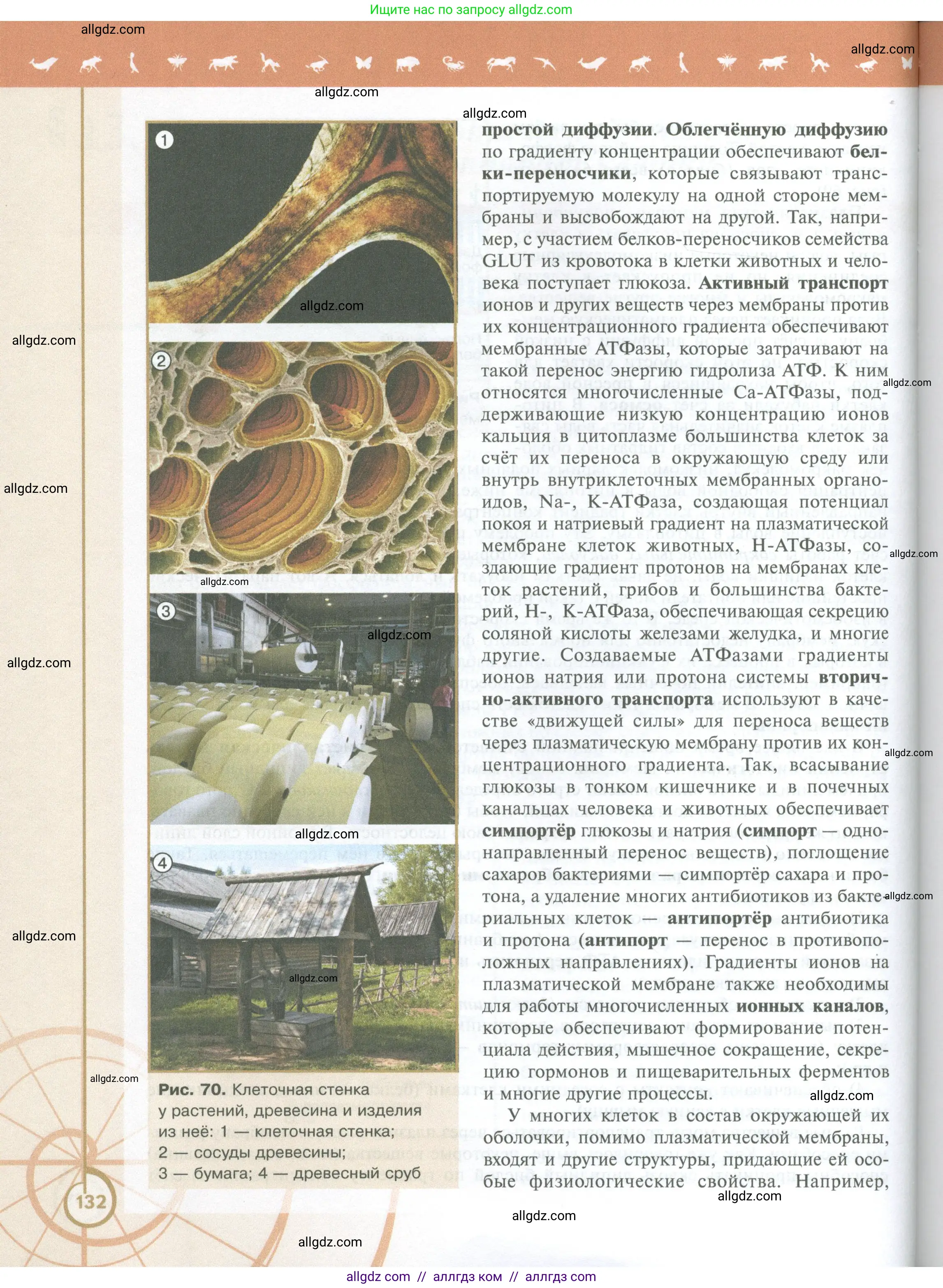 Биология, 10 класс Учебник, авторы: Пасечник Владимир Васильевич, Каменский Андрей Александрович, Рубцов Александр Михайлович, Швецов Глеб Геннадьевич, Абовян Леван Арташесович, Гапонюк Зоя Георгиевна, издательство Просвещение, Москва, 2024, коричневого цвета, страница 132