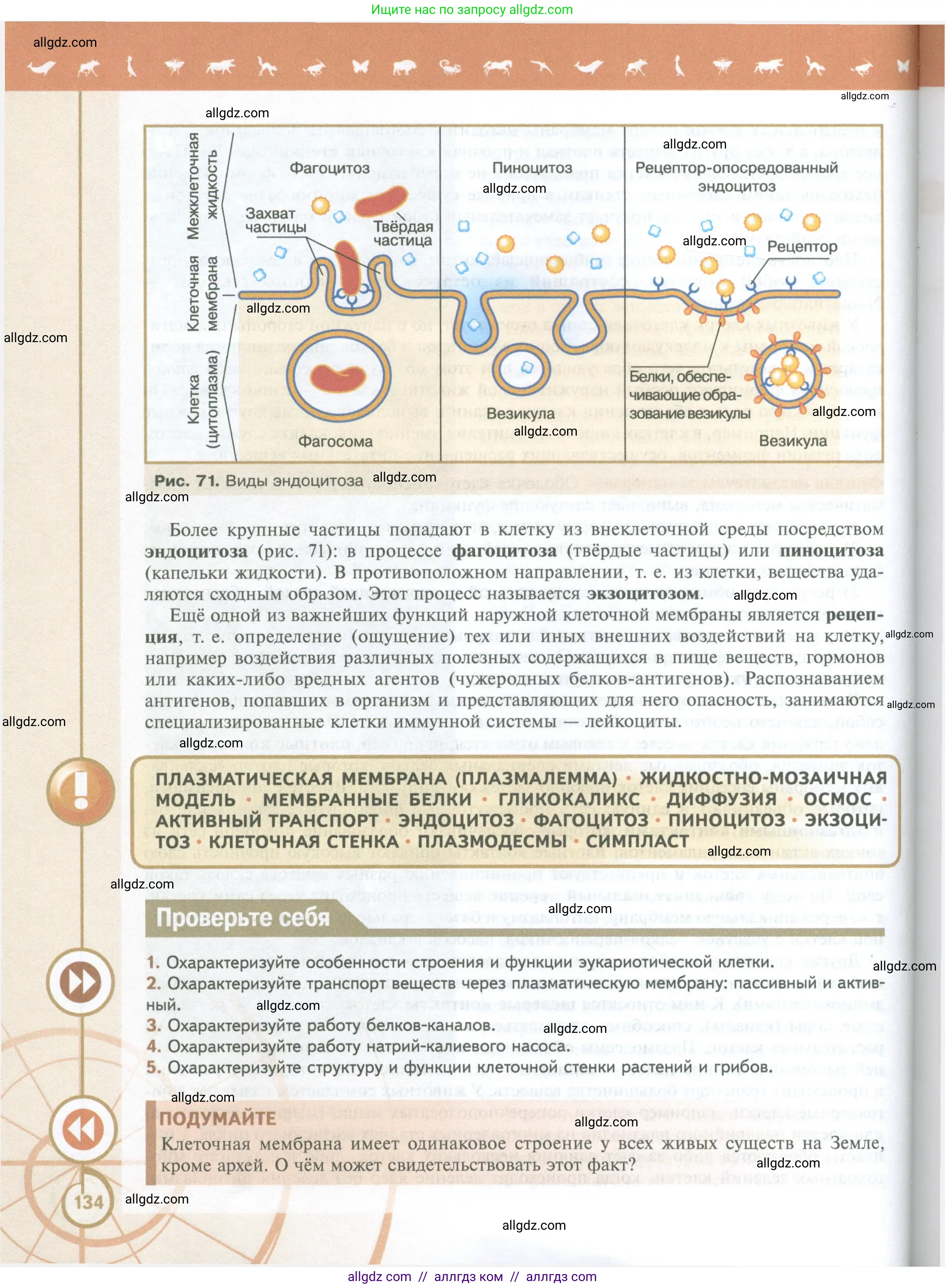 Биология, 10 класс Учебник, авторы: Пасечник Владимир Васильевич, Каменский Андрей Александрович, Рубцов Александр Михайлович, Швецов Глеб Геннадьевич, Абовян Леван Арташесович, Гапонюк Зоя Георгиевна, издательство Просвещение, Москва, 2024, коричневого цвета, Часть 1, страница 134