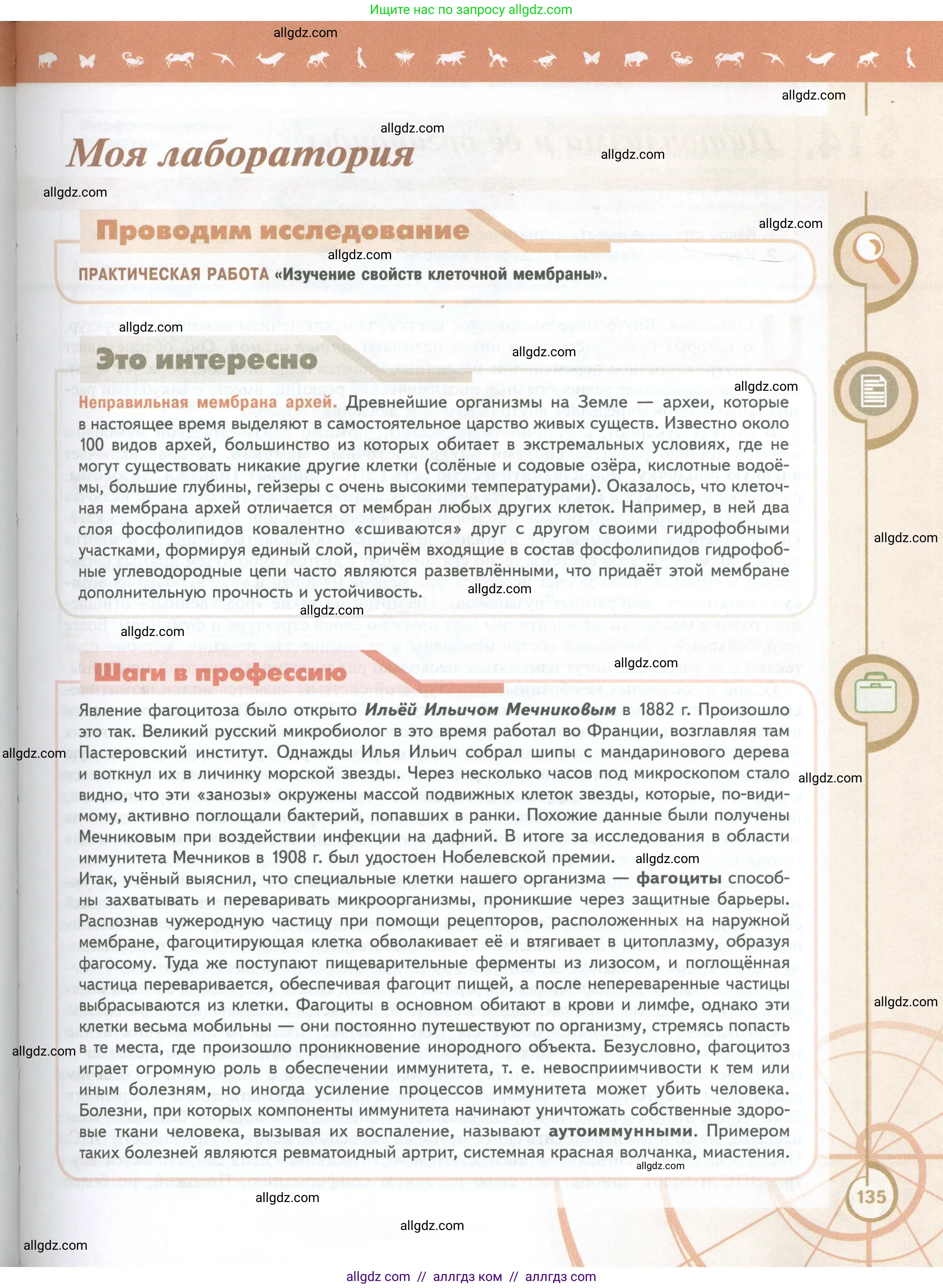 Биология, 10 класс Учебник, авторы: Пасечник Владимир Васильевич, Каменский Андрей Александрович, Рубцов Александр Михайлович, Швецов Глеб Геннадьевич, Абовян Леван Арташесович, Гапонюк Зоя Георгиевна, издательство Просвещение, Москва, 2024, коричневого цвета, страница 135