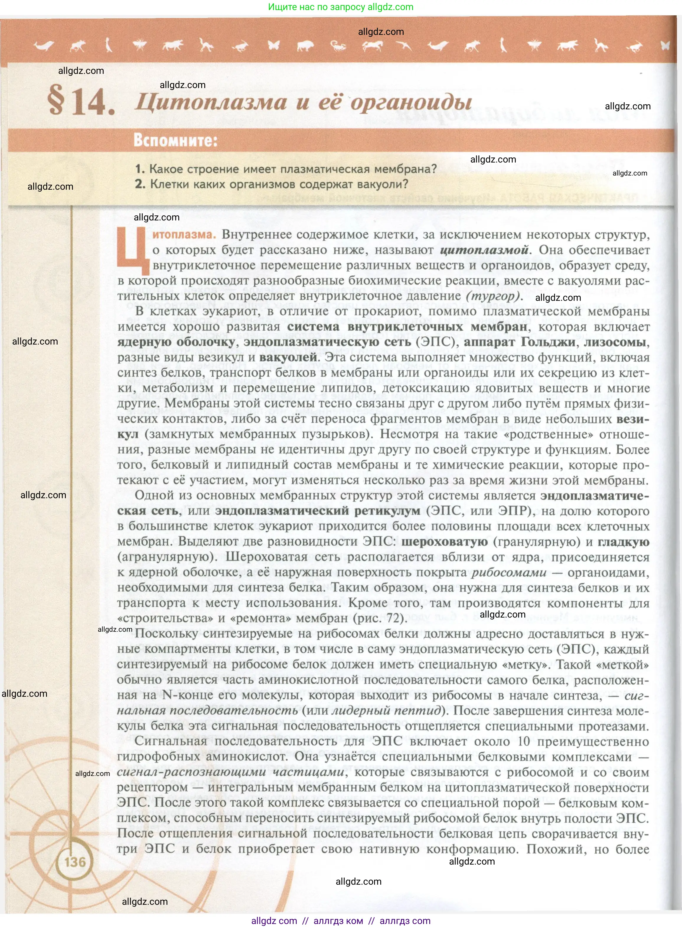 Биология, 10 класс Учебник, авторы: Пасечник Владимир Васильевич, Каменский Андрей Александрович, Рубцов Александр Михайлович, Швецов Глеб Геннадьевич, Абовян Леван Арташесович, Гапонюк Зоя Георгиевна, издательство Просвещение, Москва, 2024, коричневого цвета, Часть 1, страница 136