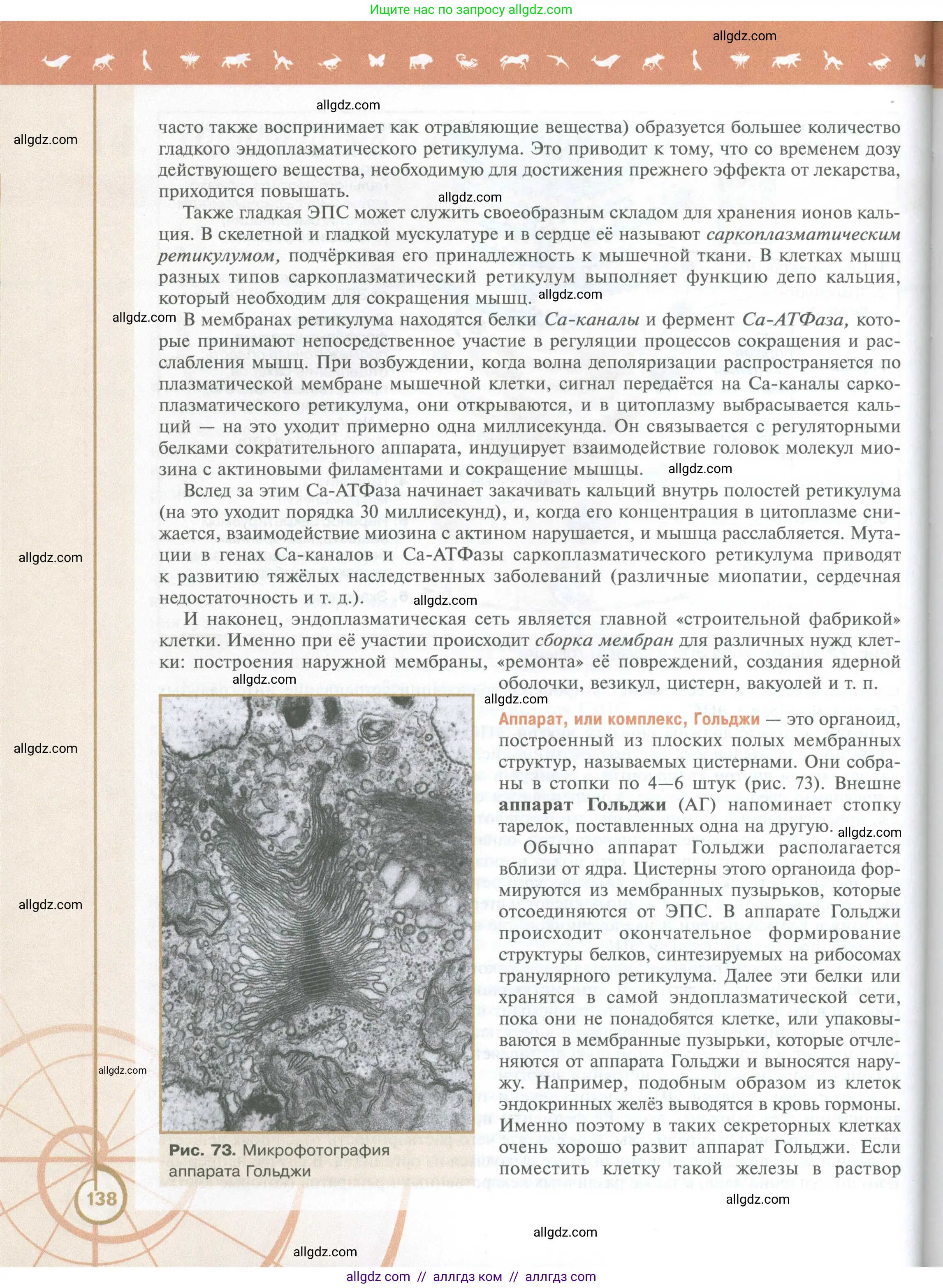 Биология, 10 класс Учебник, авторы: Пасечник Владимир Васильевич, Каменский Андрей Александрович, Рубцов Александр Михайлович, Швецов Глеб Геннадьевич, Абовян Леван Арташесович, Гапонюк Зоя Георгиевна, издательство Просвещение, Москва, 2024, коричневого цвета, страница 138