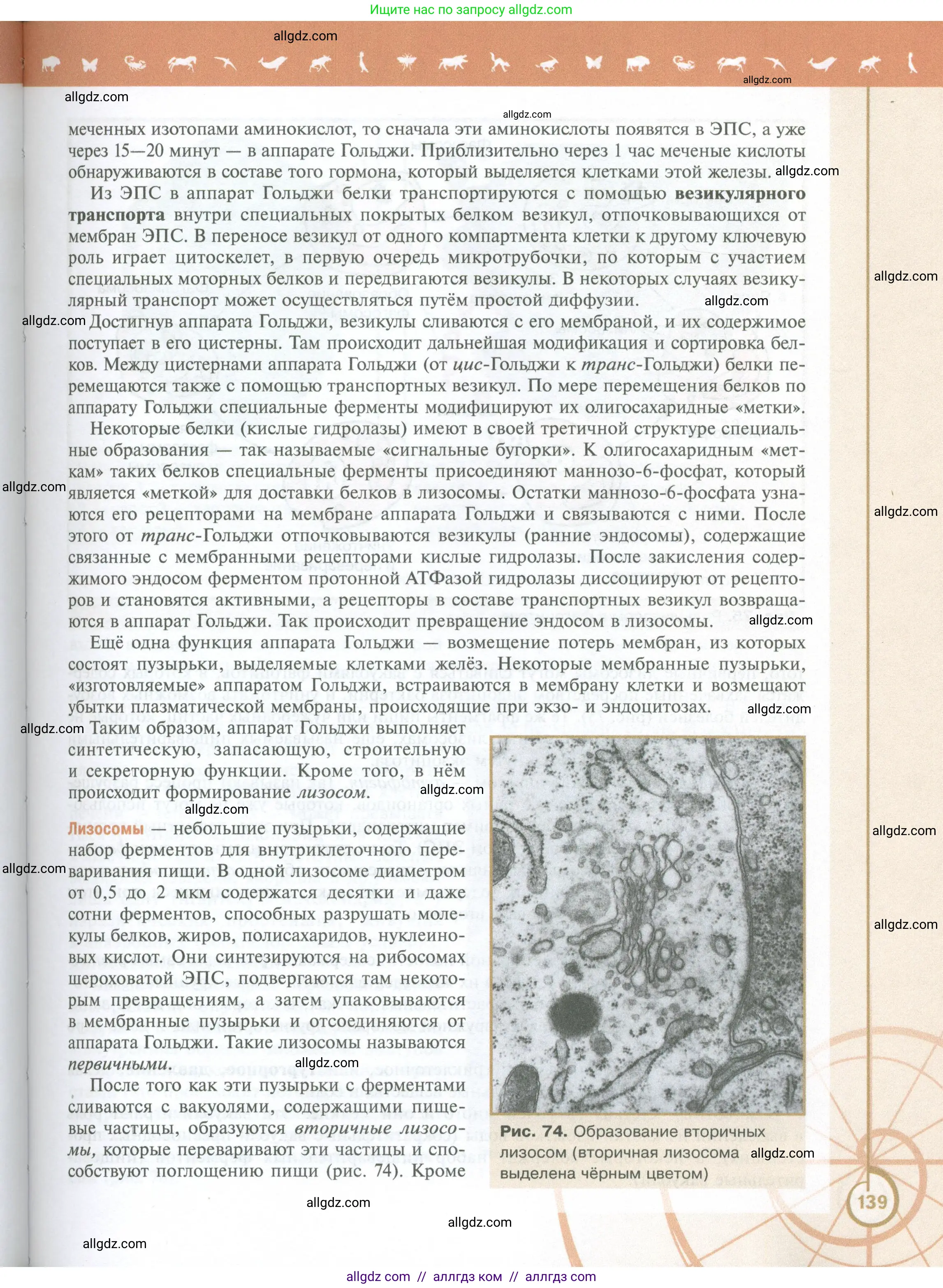 Биология, 10 класс Учебник, авторы: Пасечник Владимир Васильевич, Каменский Андрей Александрович, Рубцов Александр Михайлович, Швецов Глеб Геннадьевич, Абовян Леван Арташесович, Гапонюк Зоя Георгиевна, издательство Просвещение, Москва, 2024, коричневого цвета, страница 139