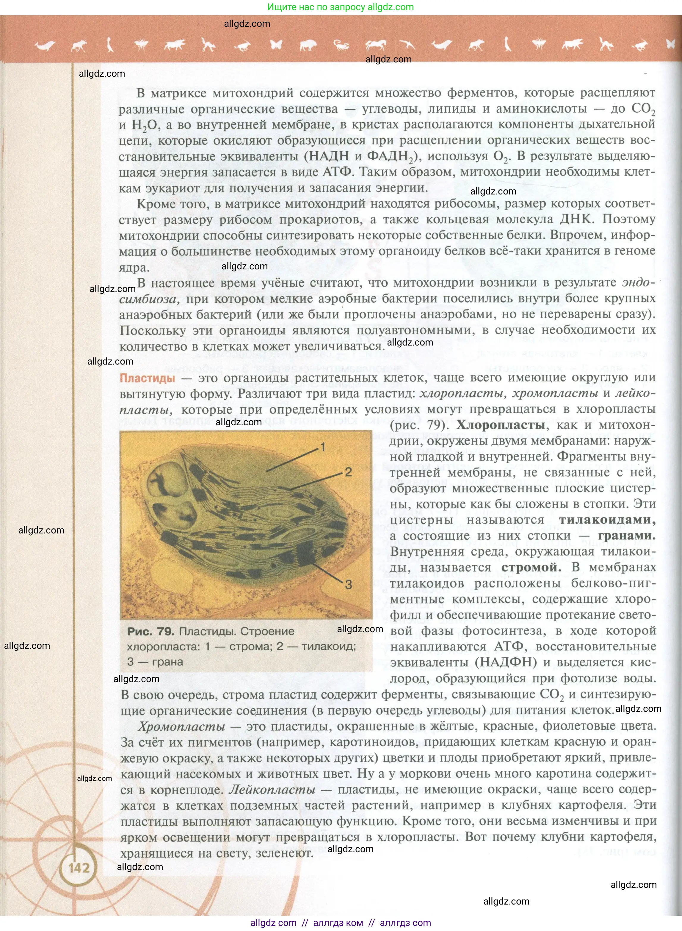 Биология, 10 класс Учебник, авторы: Пасечник Владимир Васильевич, Каменский Андрей Александрович, Рубцов Александр Михайлович, Швецов Глеб Геннадьевич, Абовян Леван Арташесович, Гапонюк Зоя Георгиевна, издательство Просвещение, Москва, 2024, коричневого цвета, страница 142