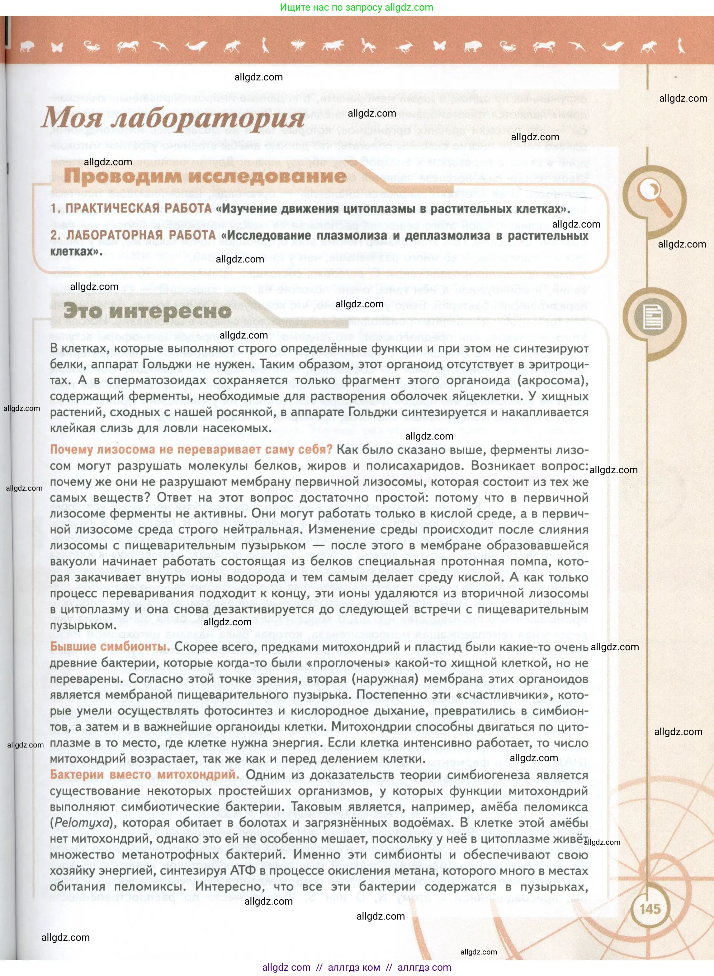 Биология, 10 класс Учебник, авторы: Пасечник Владимир Васильевич, Каменский Андрей Александрович, Рубцов Александр Михайлович, Швецов Глеб Геннадьевич, Абовян Леван Арташесович, Гапонюк Зоя Георгиевна, издательство Просвещение, Москва, 2024, коричневого цвета, страница 145