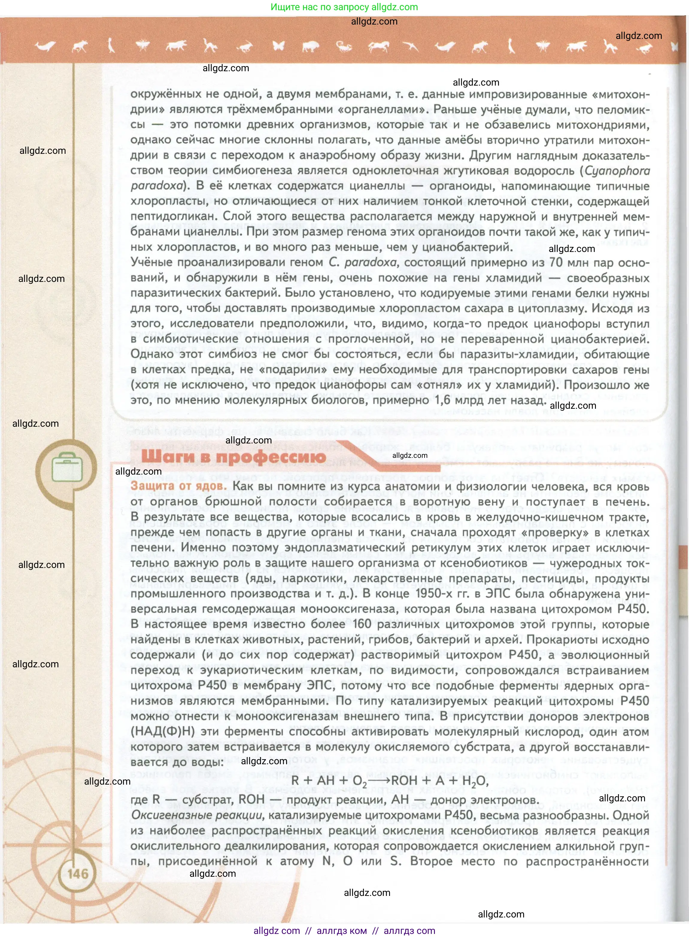 Биология, 10 класс Учебник, авторы: Пасечник Владимир Васильевич, Каменский Андрей Александрович, Рубцов Александр Михайлович, Швецов Глеб Геннадьевич, Абовян Леван Арташесович, Гапонюк Зоя Георгиевна, издательство Просвещение, Москва, 2024, коричневого цвета, страница 146