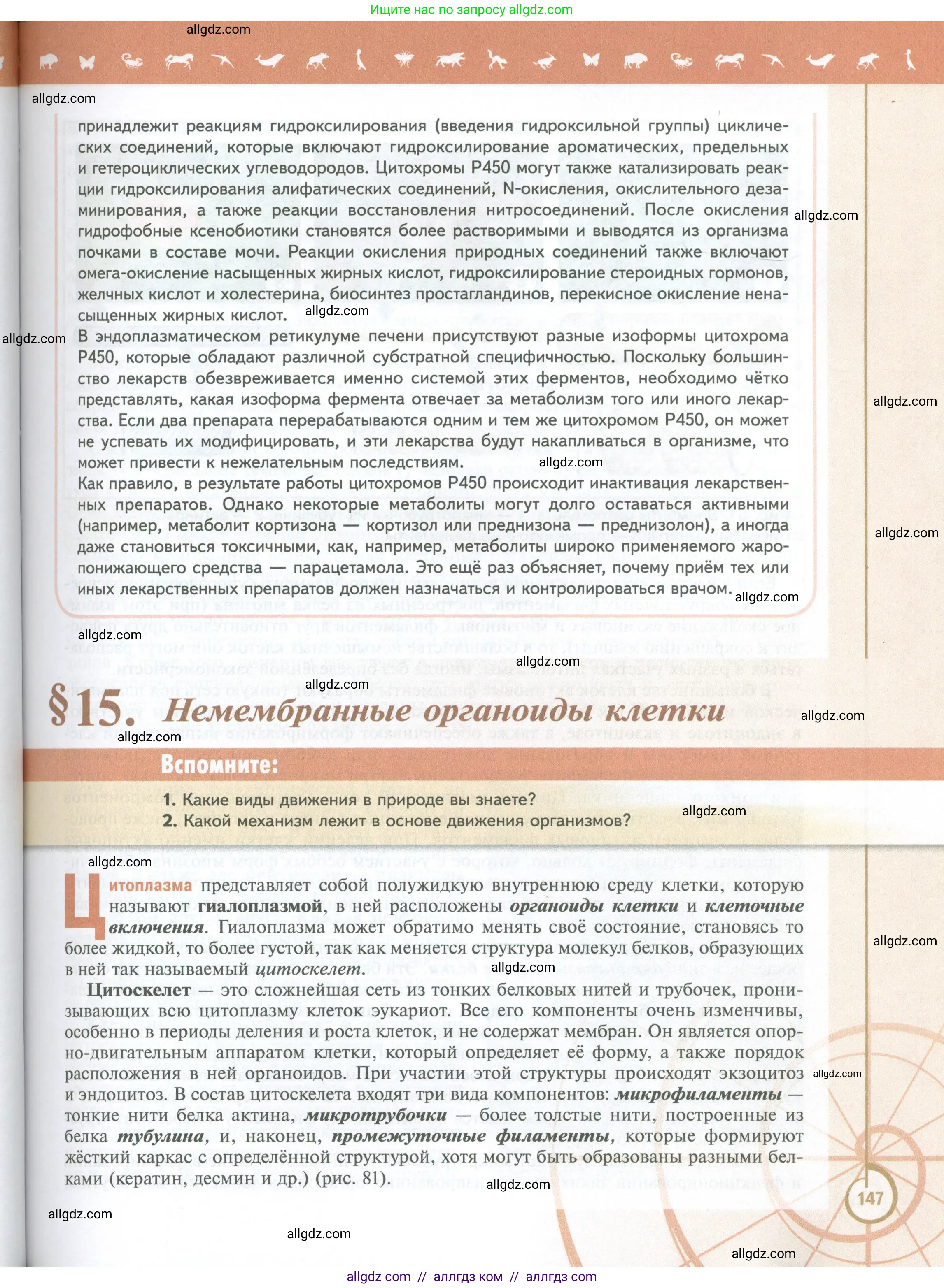 Биология, 10 класс Учебник, авторы: Пасечник Владимир Васильевич, Каменский Андрей Александрович, Рубцов Александр Михайлович, Швецов Глеб Геннадьевич, Абовян Леван Арташесович, Гапонюк Зоя Георгиевна, издательство Просвещение, Москва, 2024, коричневого цвета, Часть 1, страница 147