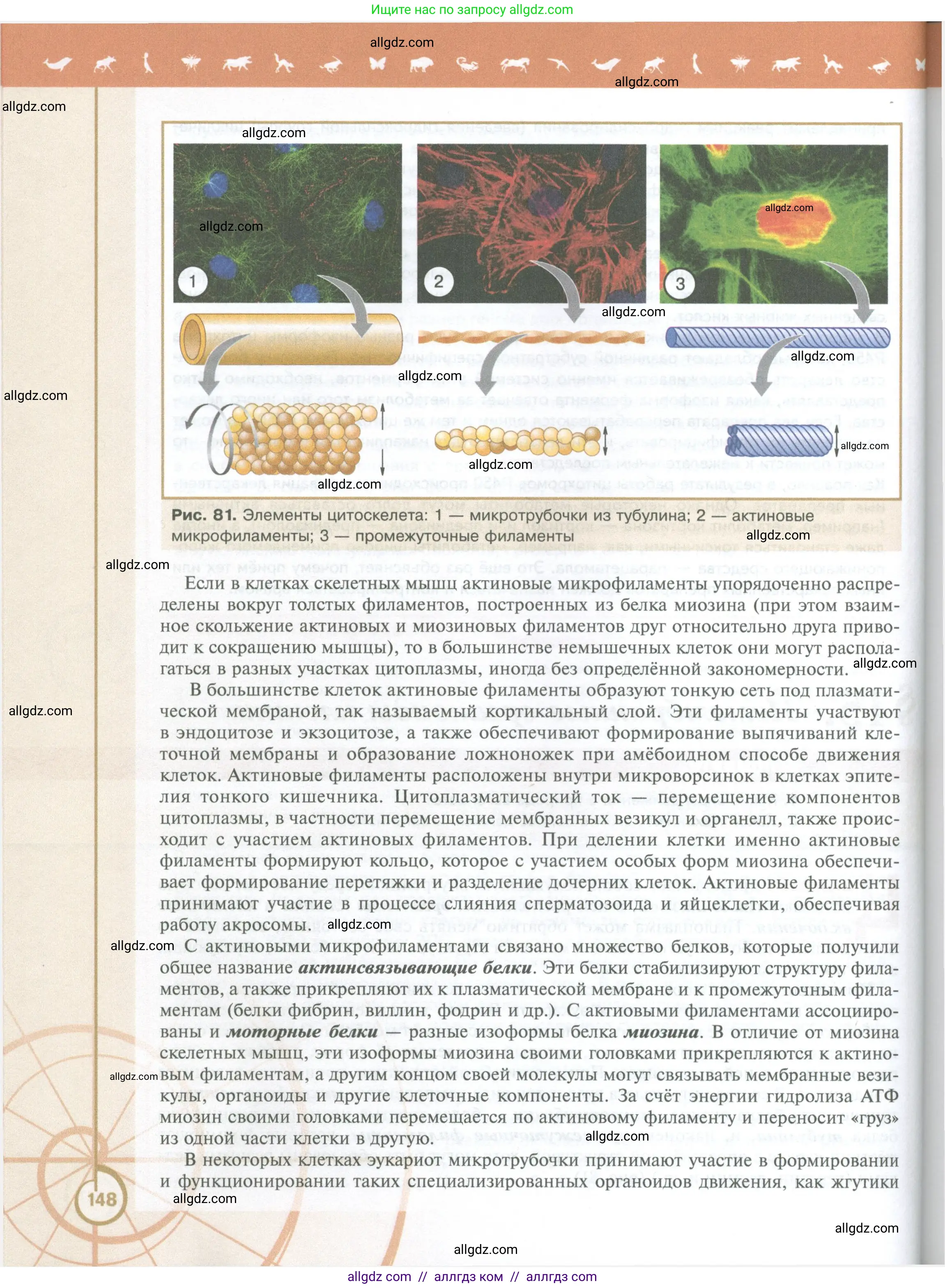 Биология, 10 класс Учебник, авторы: Пасечник Владимир Васильевич, Каменский Андрей Александрович, Рубцов Александр Михайлович, Швецов Глеб Геннадьевич, Абовян Леван Арташесович, Гапонюк Зоя Георгиевна, издательство Просвещение, Москва, 2024, коричневого цвета, страница 148