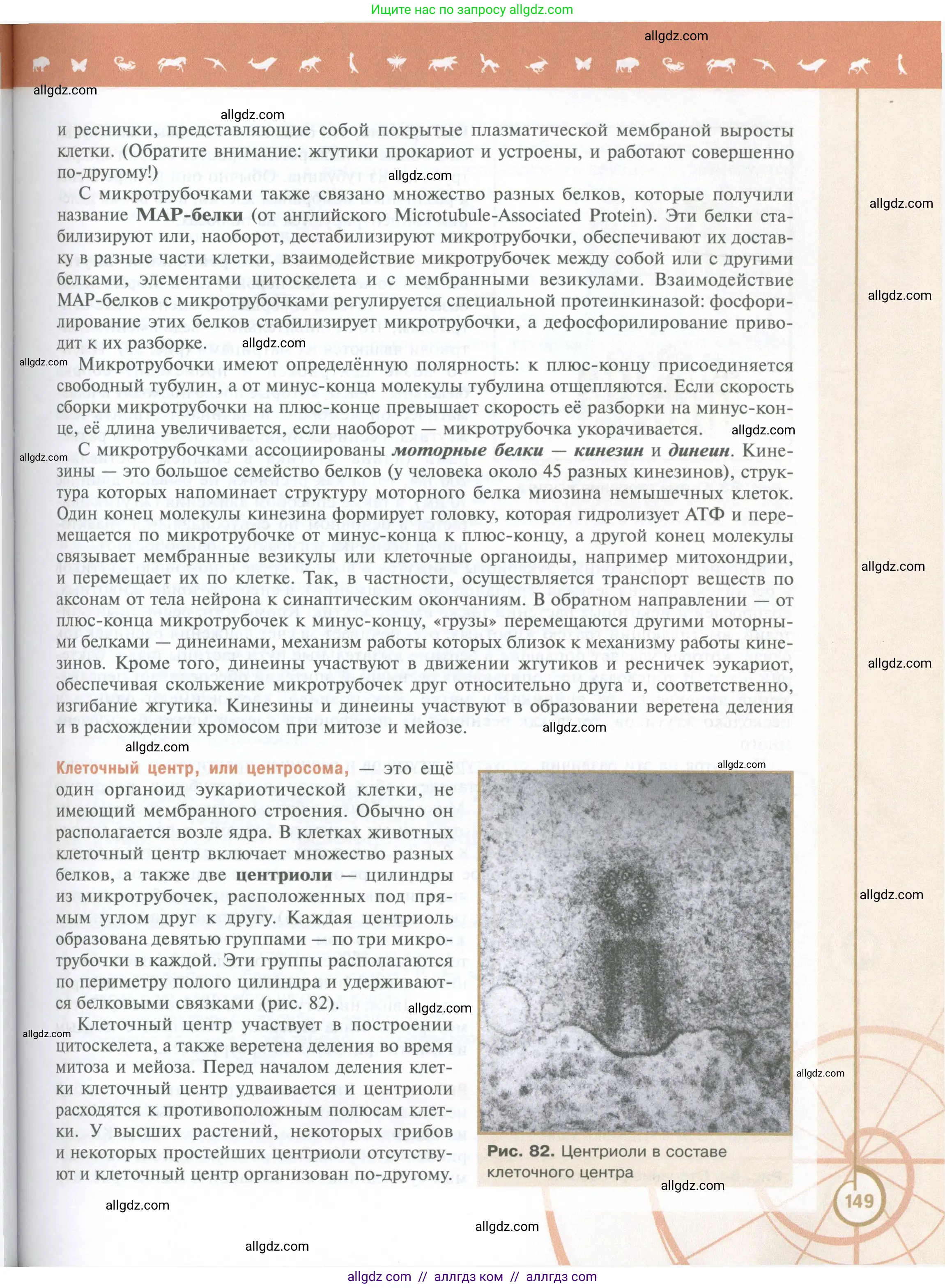 Биология, 10 класс Учебник, авторы: Пасечник Владимир Васильевич, Каменский Андрей Александрович, Рубцов Александр Михайлович, Швецов Глеб Геннадьевич, Абовян Леван Арташесович, Гапонюк Зоя Георгиевна, издательство Просвещение, Москва, 2024, коричневого цвета, страница 149