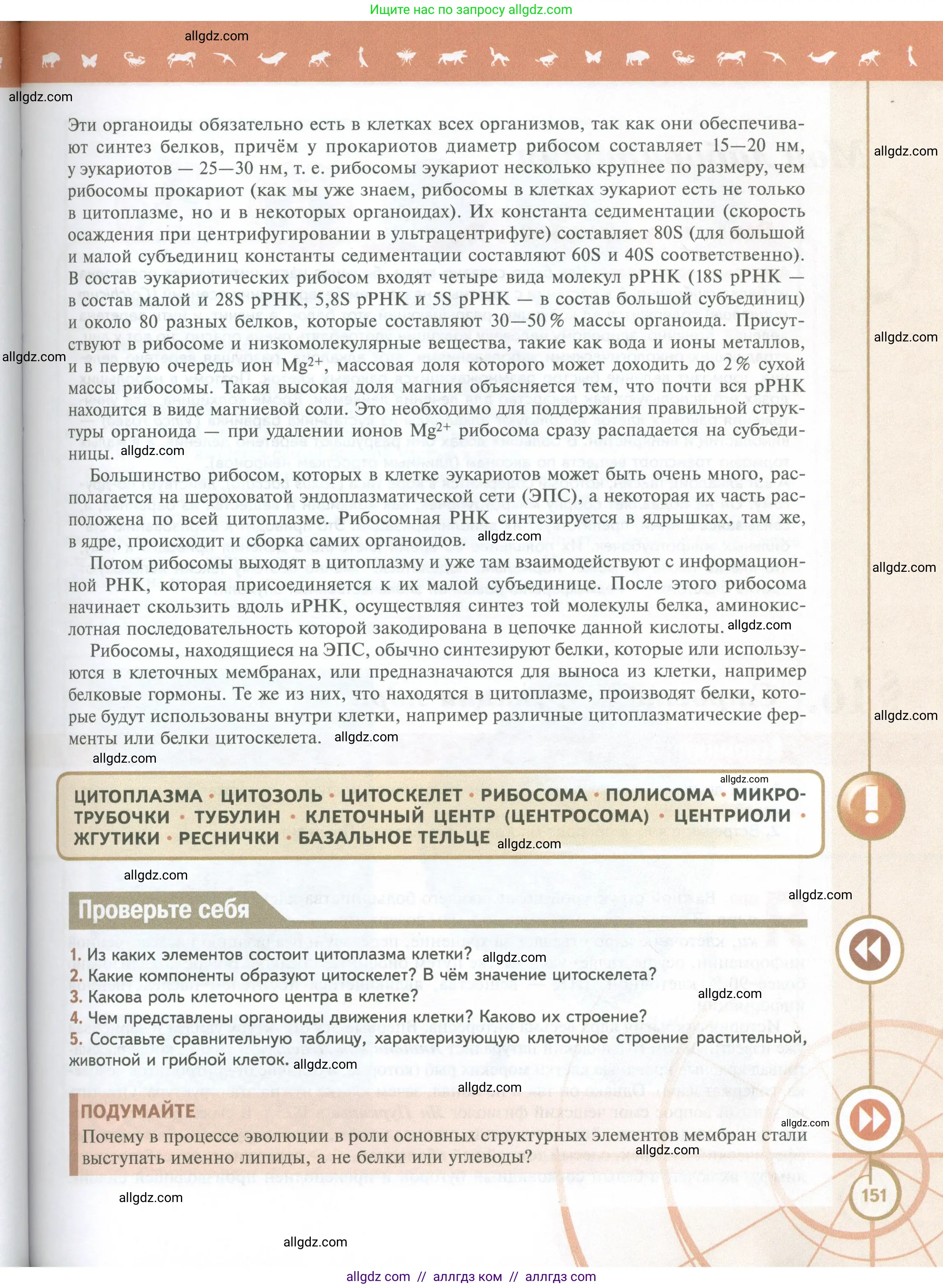 Биология, 10 класс Учебник, авторы: Пасечник Владимир Васильевич, Каменский Андрей Александрович, Рубцов Александр Михайлович, Швецов Глеб Геннадьевич, Абовян Леван Арташесович, Гапонюк Зоя Георгиевна, издательство Просвещение, Москва, 2024, коричневого цвета, Часть 1, страница 151