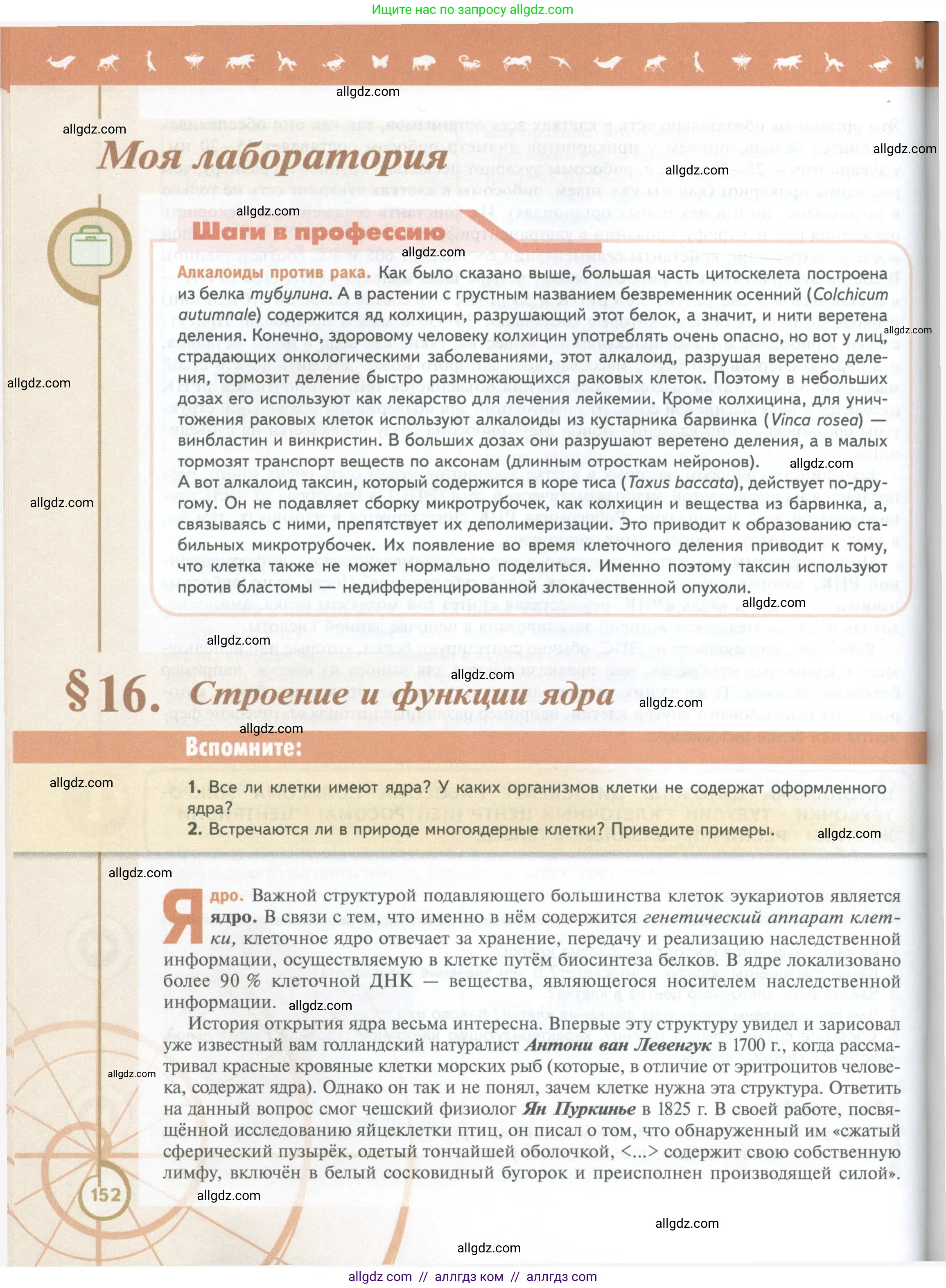 Биология, 10 класс Учебник, авторы: Пасечник Владимир Васильевич, Каменский Андрей Александрович, Рубцов Александр Михайлович, Швецов Глеб Геннадьевич, Абовян Леван Арташесович, Гапонюк Зоя Георгиевна, издательство Просвещение, Москва, 2024, коричневого цвета, Часть 1, страница 152
