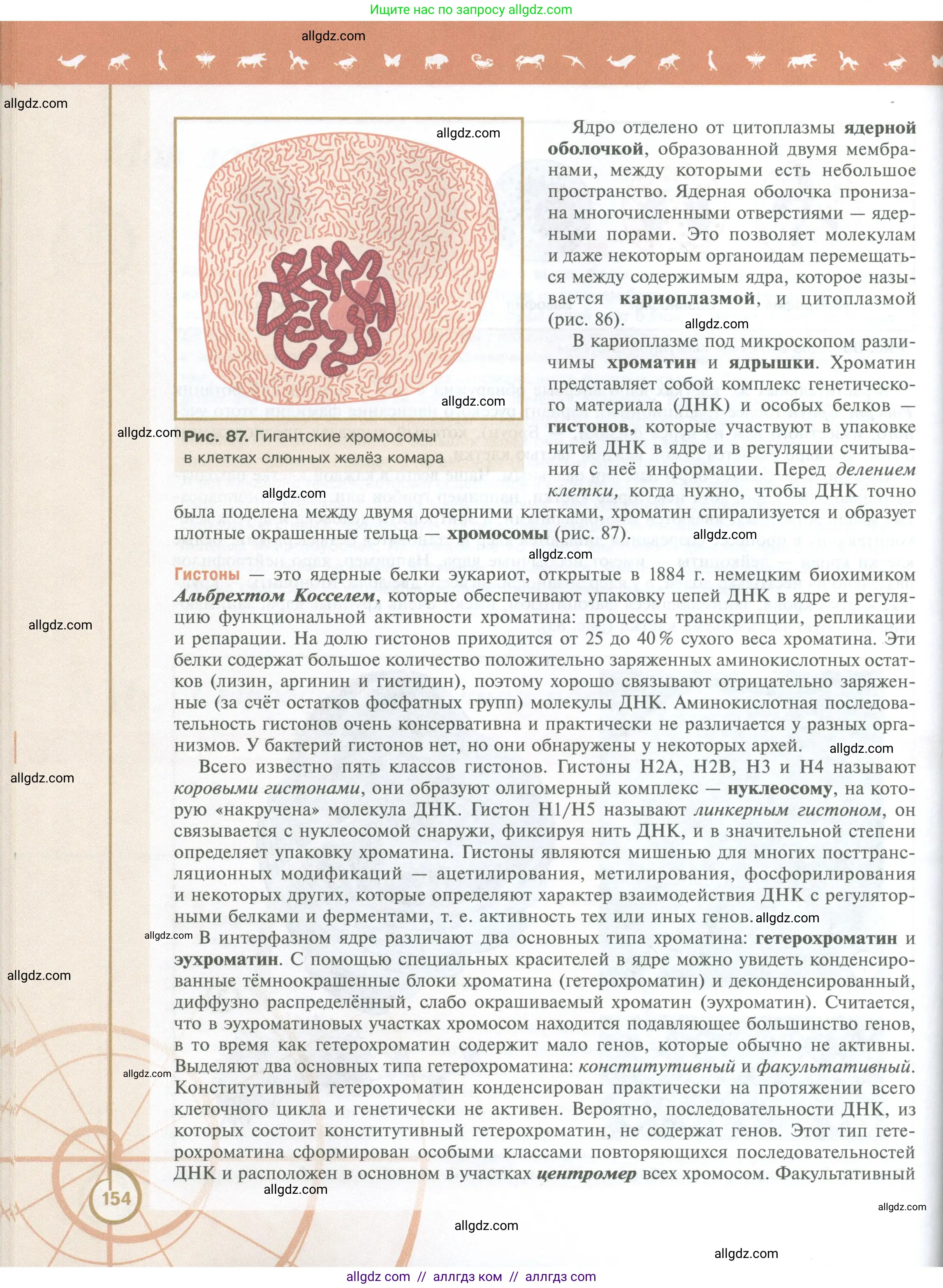 Биология, 10 класс Учебник, авторы: Пасечник Владимир Васильевич, Каменский Андрей Александрович, Рубцов Александр Михайлович, Швецов Глеб Геннадьевич, Абовян Леван Арташесович, Гапонюк Зоя Георгиевна, издательство Просвещение, Москва, 2024, коричневого цвета, страница 154