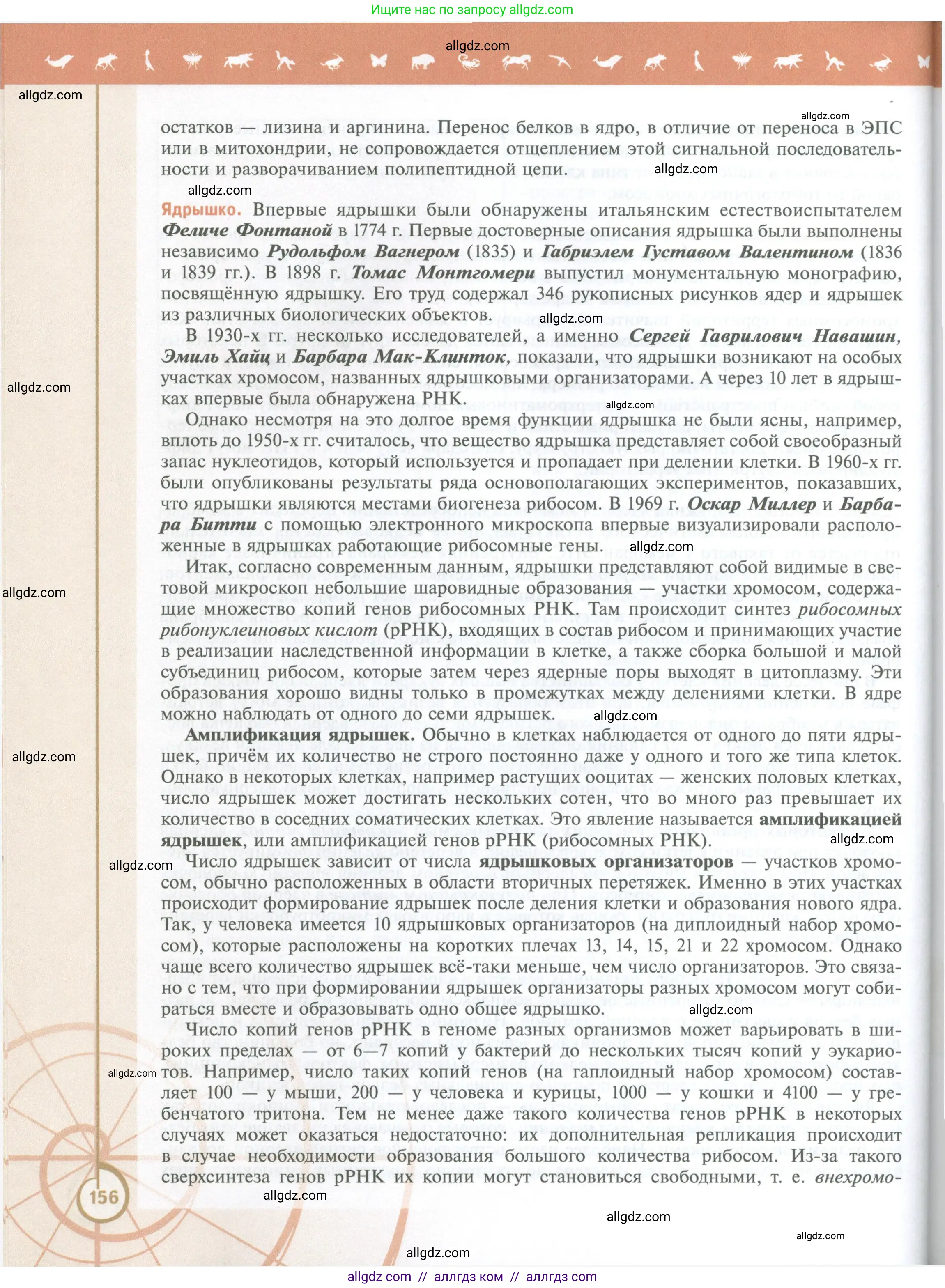 Биология, 10 класс Учебник, авторы: Пасечник Владимир Васильевич, Каменский Андрей Александрович, Рубцов Александр Михайлович, Швецов Глеб Геннадьевич, Абовян Леван Арташесович, Гапонюк Зоя Георгиевна, издательство Просвещение, Москва, 2024, коричневого цвета, страница 156