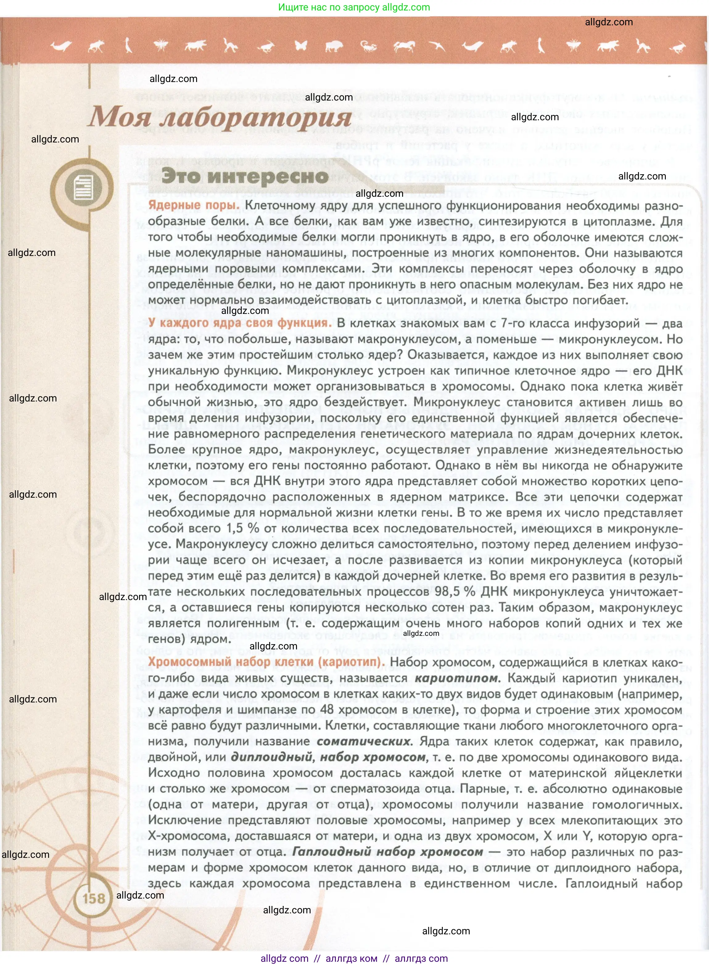 Биология, 10 класс Учебник, авторы: Пасечник Владимир Васильевич, Каменский Андрей Александрович, Рубцов Александр Михайлович, Швецов Глеб Геннадьевич, Абовян Леван Арташесович, Гапонюк Зоя Георгиевна, издательство Просвещение, Москва, 2024, коричневого цвета, страница 158