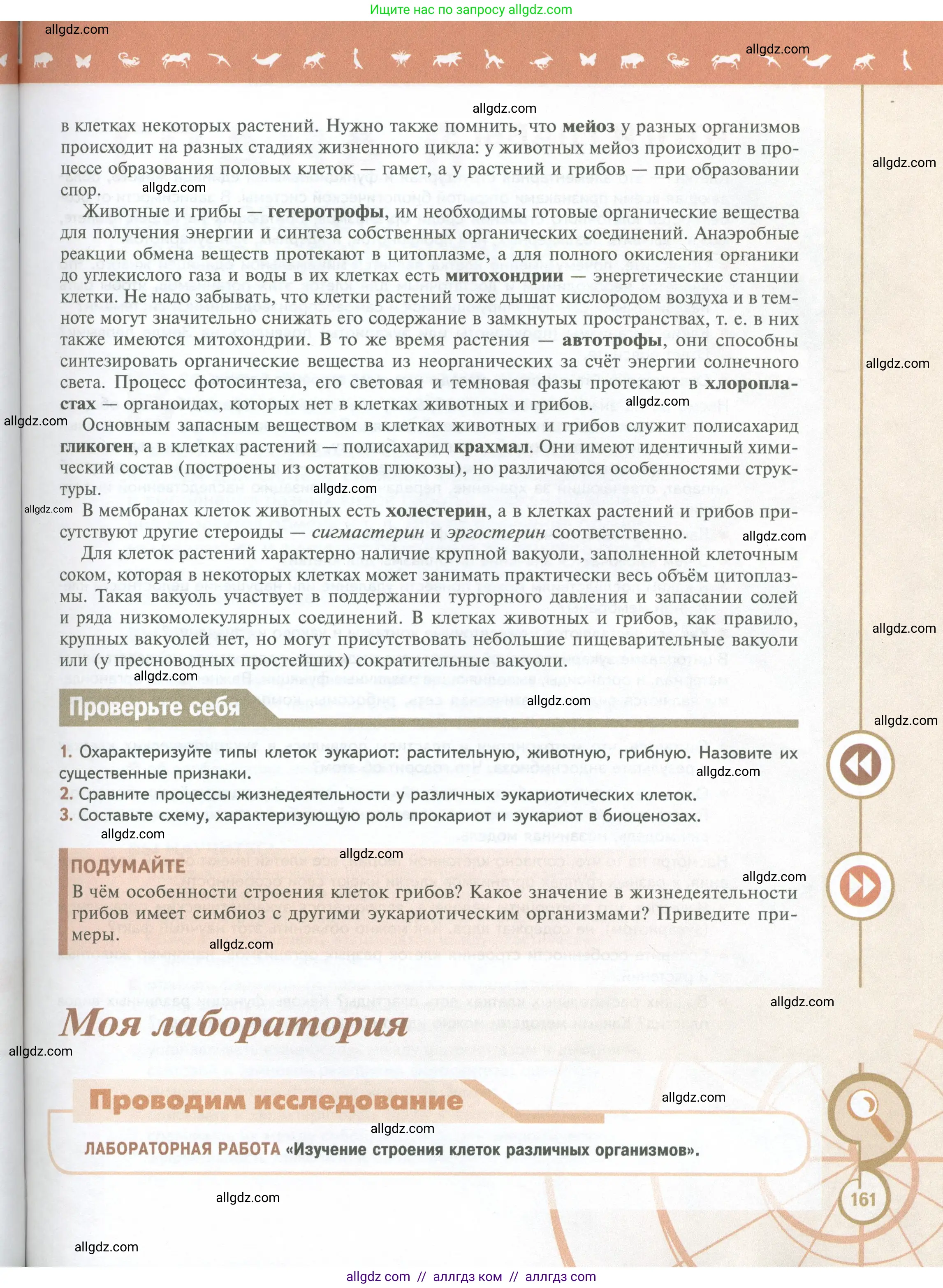 Биология, 10 класс Учебник, авторы: Пасечник Владимир Васильевич, Каменский Андрей Александрович, Рубцов Александр Михайлович, Швецов Глеб Геннадьевич, Абовян Леван Арташесович, Гапонюк Зоя Георгиевна, издательство Просвещение, Москва, 2024, коричневого цвета, Часть 1, страница 161