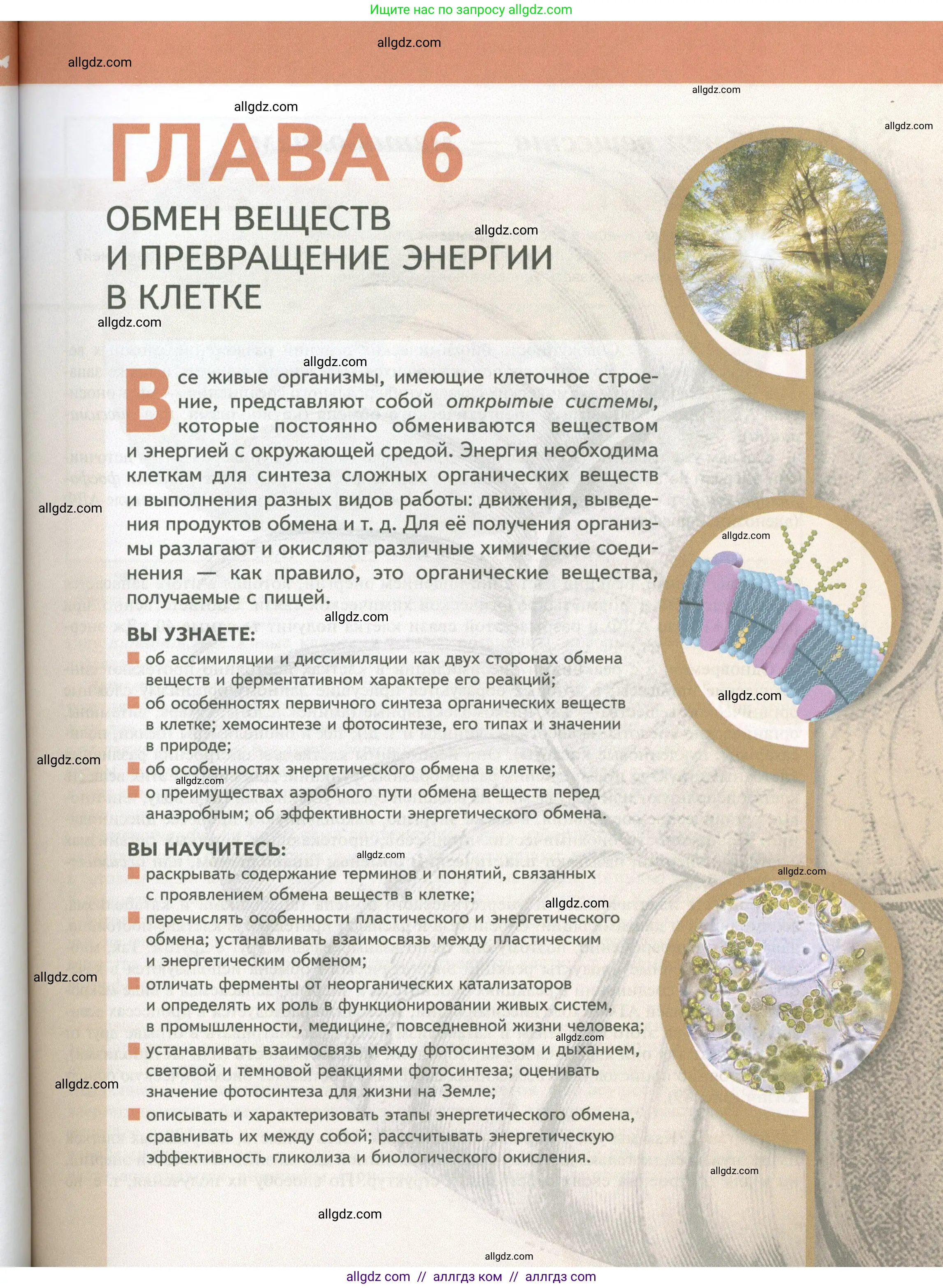 Биология, 10 класс Учебник, авторы: Пасечник Владимир Васильевич, Каменский Андрей Александрович, Рубцов Александр Михайлович, Швецов Глеб Геннадьевич, Абовян Леван Арташесович, Гапонюк Зоя Георгиевна, издательство Просвещение, Москва, 2024, коричневого цвета, страница 163