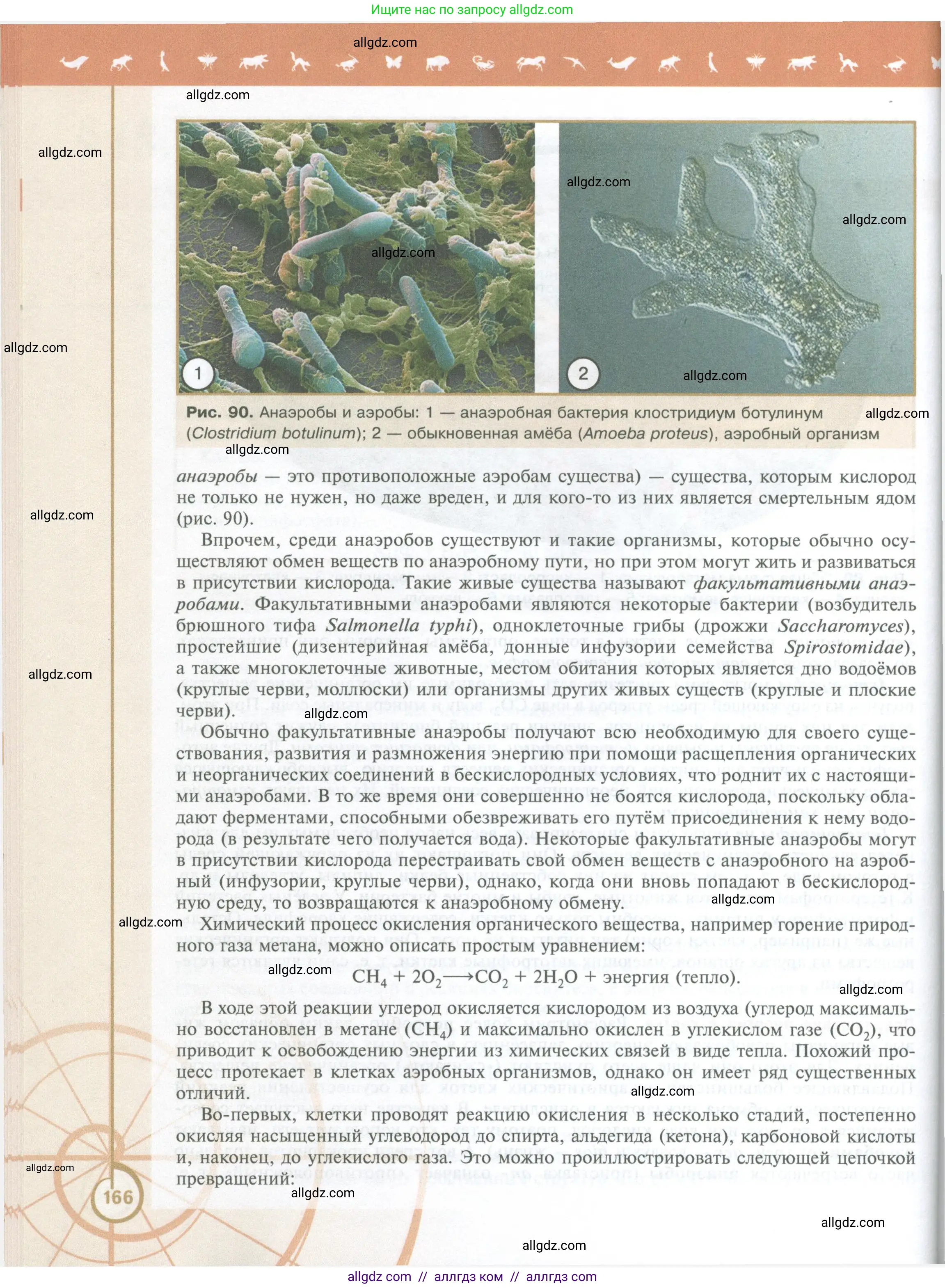 Биология, 10 класс Учебник, авторы: Пасечник Владимир Васильевич, Каменский Андрей Александрович, Рубцов Александр Михайлович, Швецов Глеб Геннадьевич, Абовян Леван Арташесович, Гапонюк Зоя Георгиевна, издательство Просвещение, Москва, 2024, коричневого цвета, страница 166