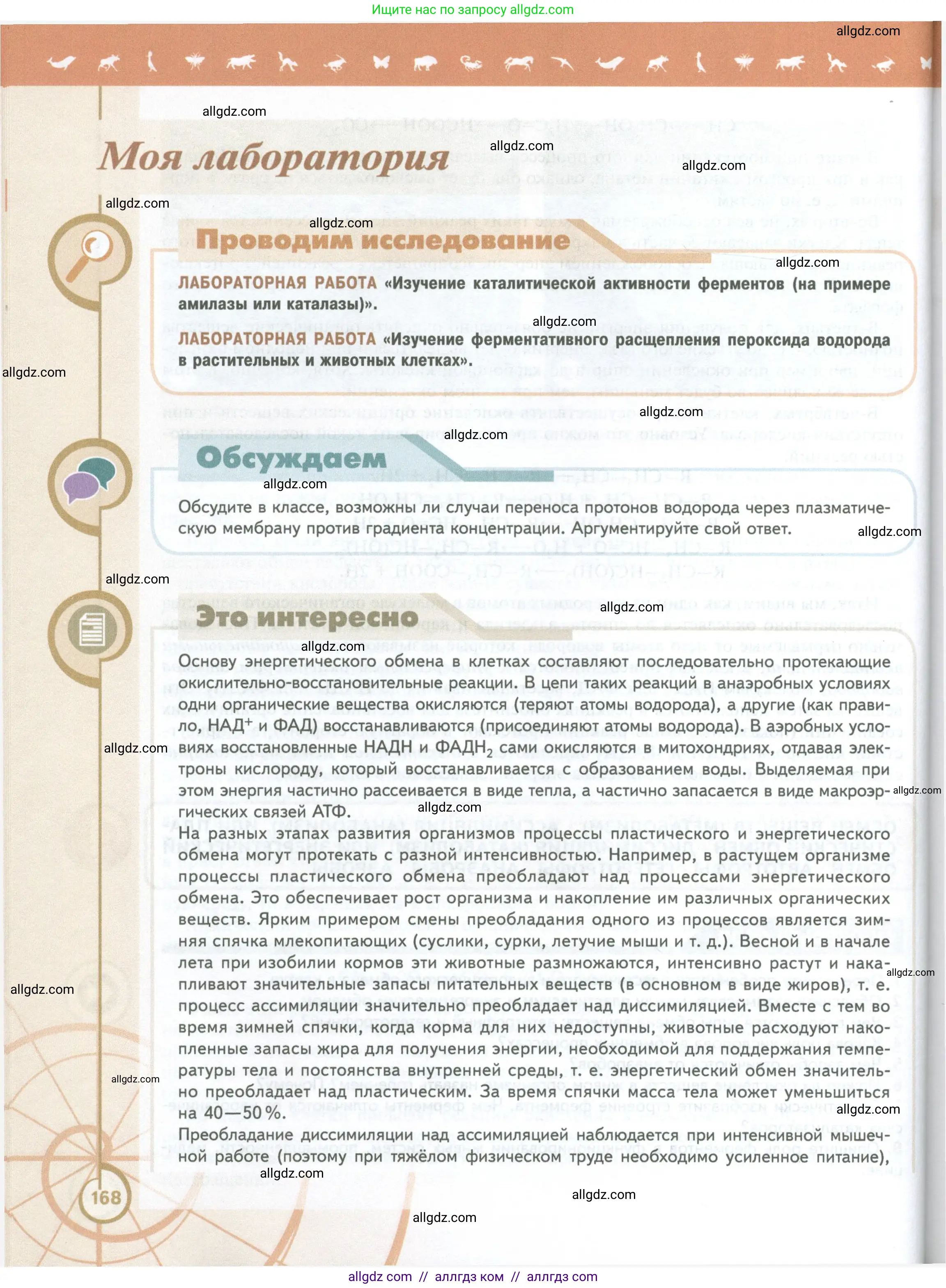 Биология, 10 класс Учебник, авторы: Пасечник Владимир Васильевич, Каменский Андрей Александрович, Рубцов Александр Михайлович, Швецов Глеб Геннадьевич, Абовян Леван Арташесович, Гапонюк Зоя Георгиевна, издательство Просвещение, Москва, 2024, коричневого цвета, Часть 1, страница 168