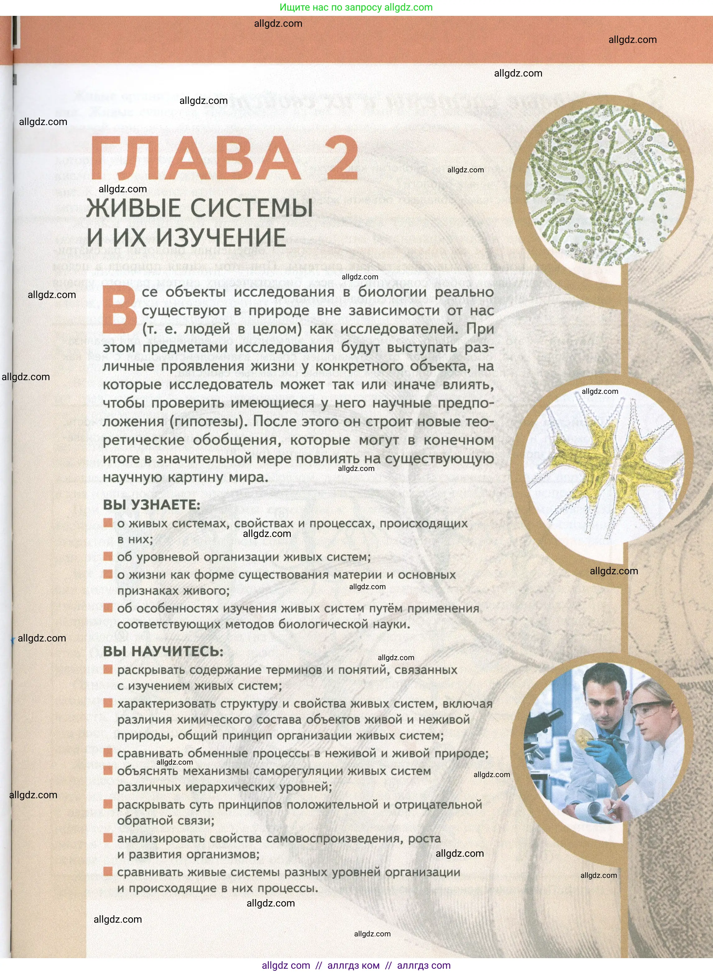 Биология, 10 класс Учебник, авторы: Пасечник Владимир Васильевич, Каменский Андрей Александрович, Рубцов Александр Михайлович, Швецов Глеб Геннадьевич, Абовян Леван Арташесович, Гапонюк Зоя Георгиевна, издательство Просвещение, Москва, 2024, коричневого цвета, страница 17