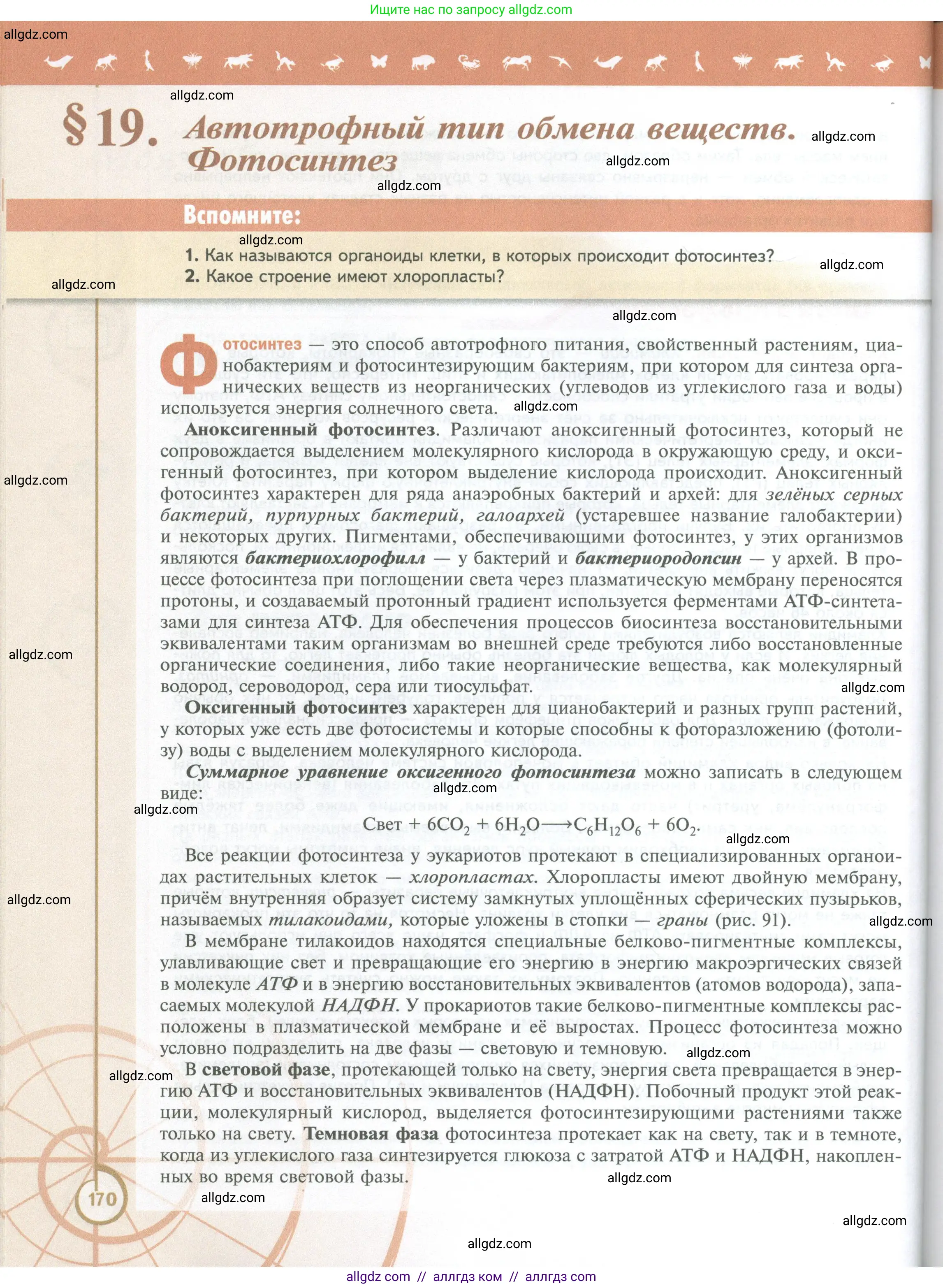 Биология, 10 класс Учебник, авторы: Пасечник Владимир Васильевич, Каменский Андрей Александрович, Рубцов Александр Михайлович, Швецов Глеб Геннадьевич, Абовян Леван Арташесович, Гапонюк Зоя Георгиевна, издательство Просвещение, Москва, 2024, коричневого цвета, Часть 1, страница 170