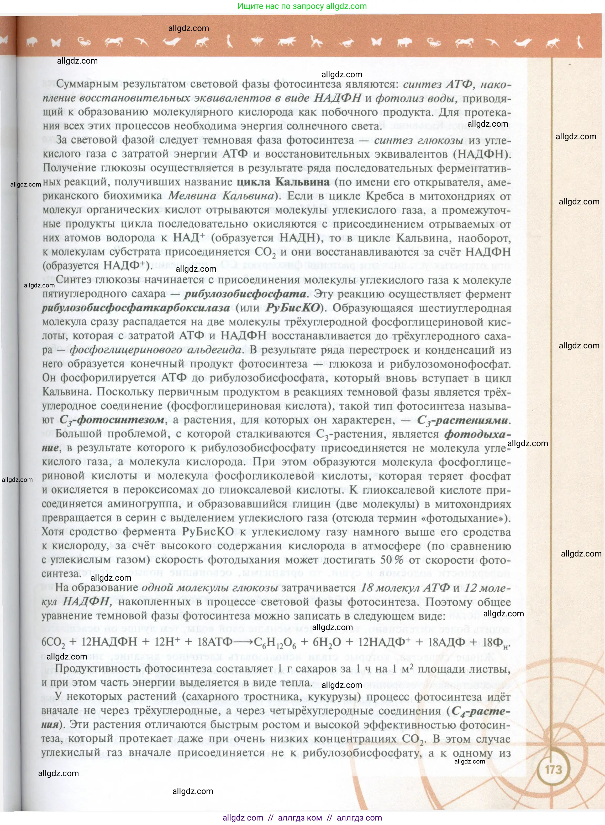Биология, 10 класс Учебник, авторы: Пасечник Владимир Васильевич, Каменский Андрей Александрович, Рубцов Александр Михайлович, Швецов Глеб Геннадьевич, Абовян Леван Арташесович, Гапонюк Зоя Георгиевна, издательство Просвещение, Москва, 2024, коричневого цвета, страница 173