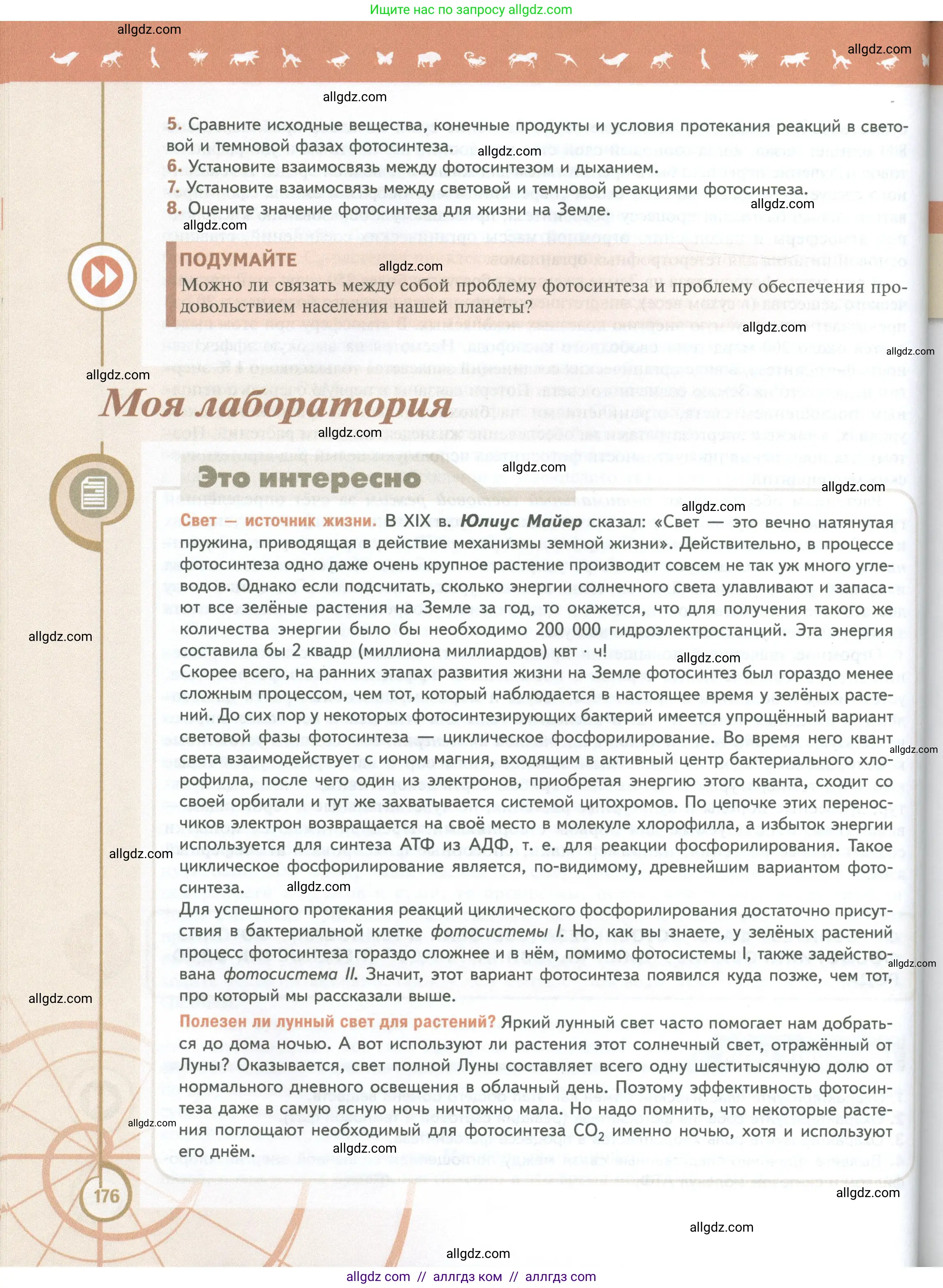 Биология, 10 класс Учебник, авторы: Пасечник Владимир Васильевич, Каменский Андрей Александрович, Рубцов Александр Михайлович, Швецов Глеб Геннадьевич, Абовян Леван Арташесович, Гапонюк Зоя Георгиевна, издательство Просвещение, Москва, 2024, коричневого цвета, Часть 1, страница 176