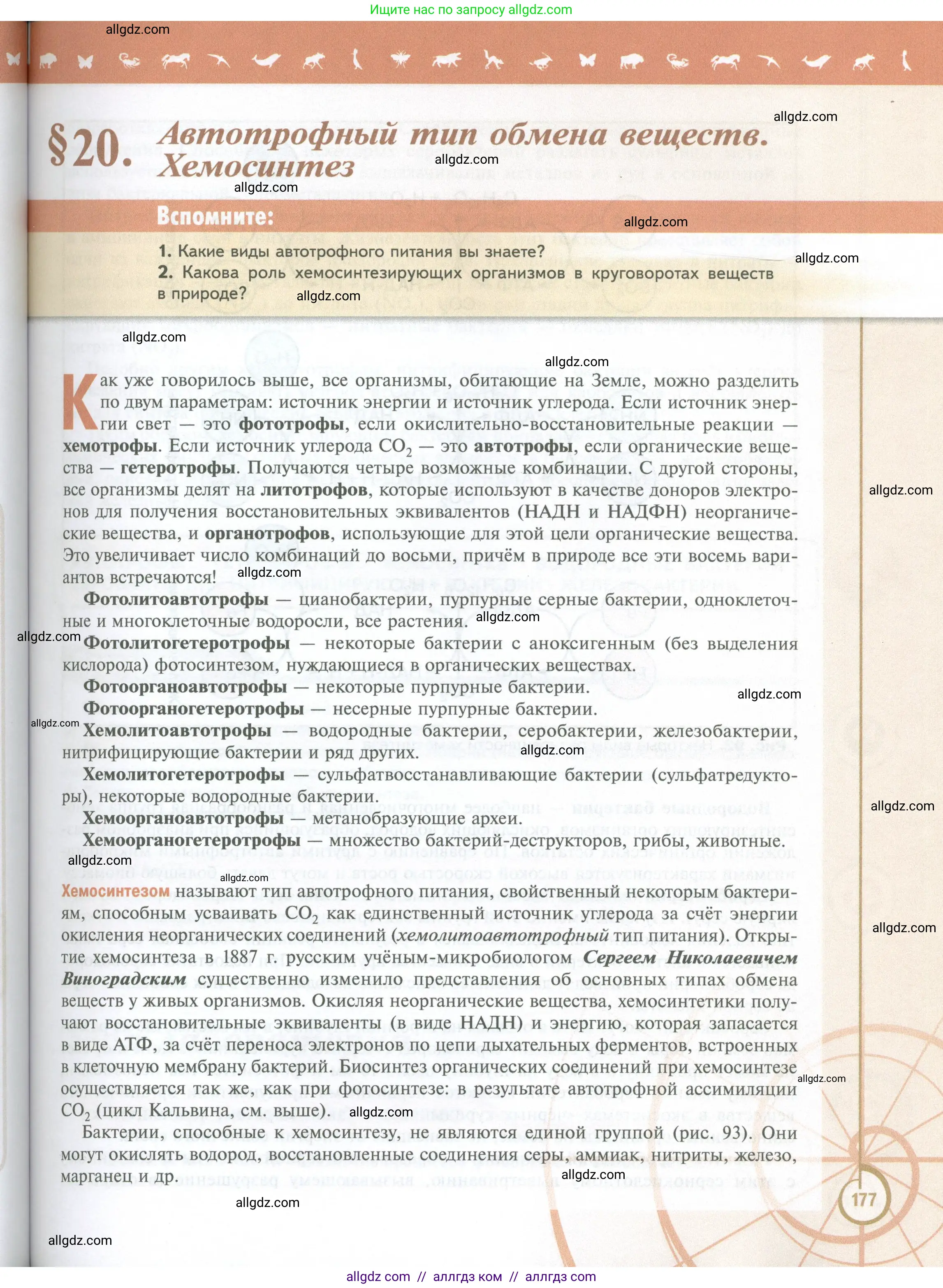 Биология, 10 класс Учебник, авторы: Пасечник Владимир Васильевич, Каменский Андрей Александрович, Рубцов Александр Михайлович, Швецов Глеб Геннадьевич, Абовян Леван Арташесович, Гапонюк Зоя Георгиевна, издательство Просвещение, Москва, 2024, коричневого цвета, Часть 1, страница 177