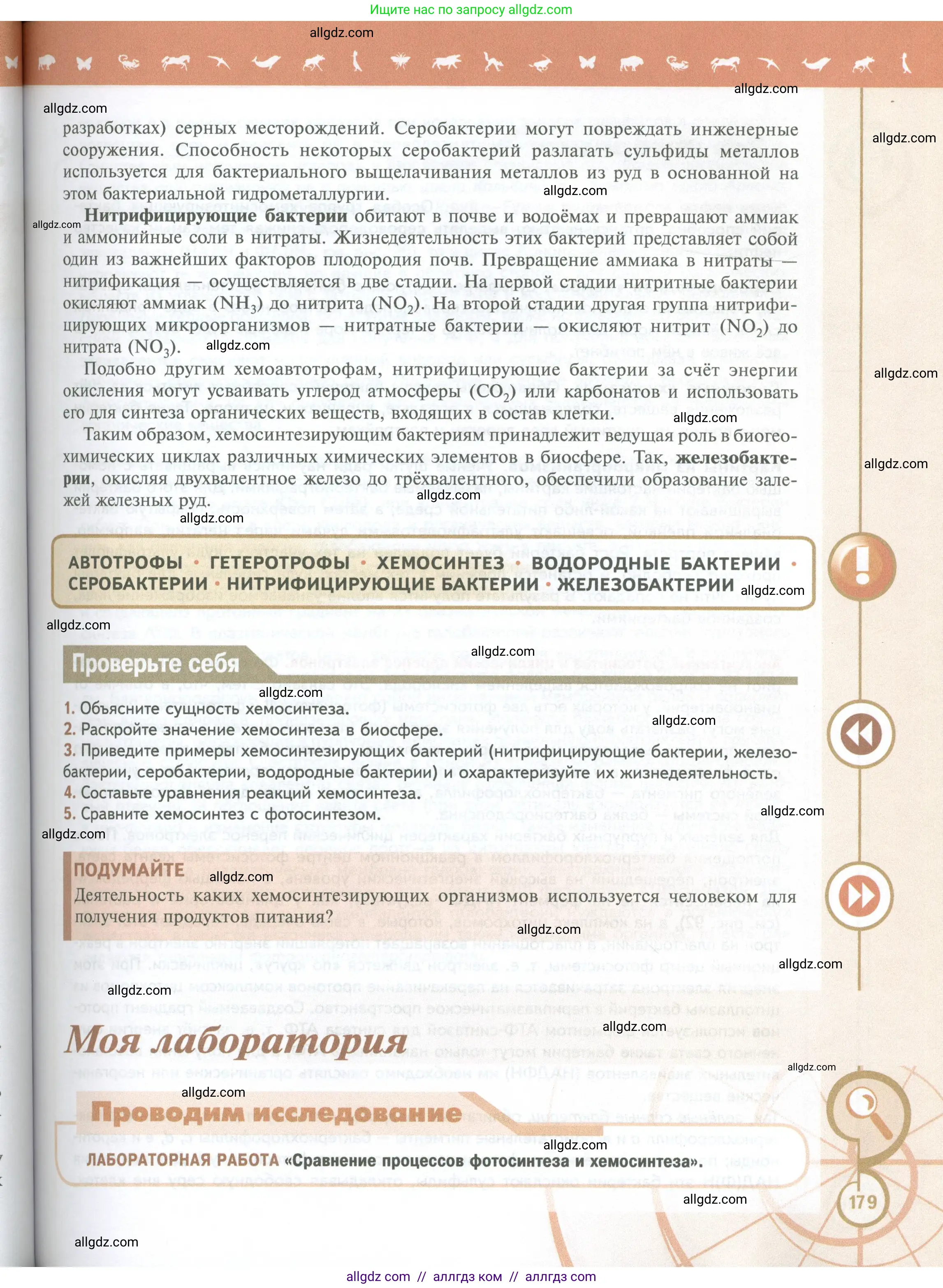 Биология, 10 класс Учебник, авторы: Пасечник Владимир Васильевич, Каменский Андрей Александрович, Рубцов Александр Михайлович, Швецов Глеб Геннадьевич, Абовян Леван Арташесович, Гапонюк Зоя Георгиевна, издательство Просвещение, Москва, 2024, коричневого цвета, Часть 1, страница 179