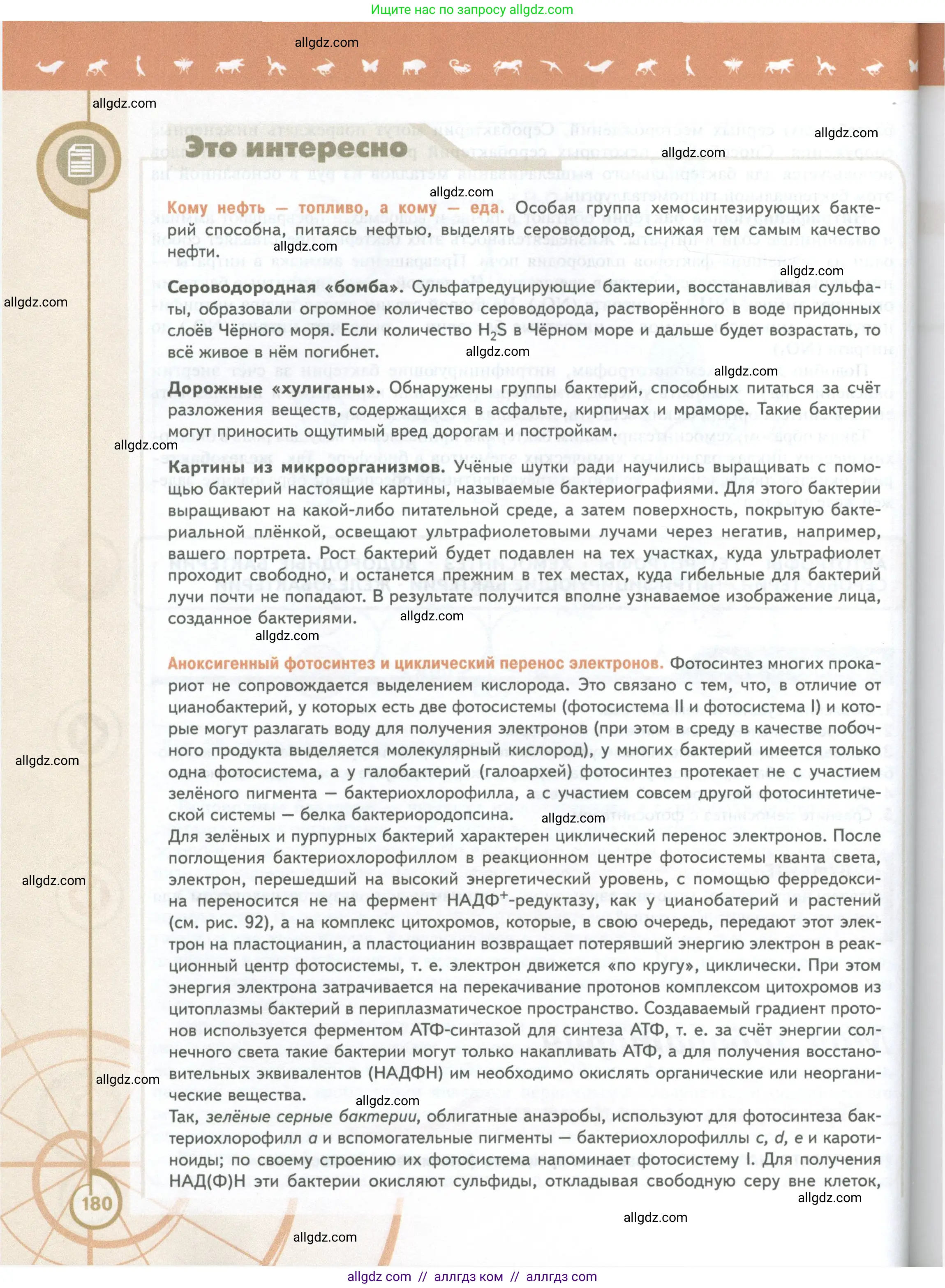 Биология, 10 класс Учебник, авторы: Пасечник Владимир Васильевич, Каменский Андрей Александрович, Рубцов Александр Михайлович, Швецов Глеб Геннадьевич, Абовян Леван Арташесович, Гапонюк Зоя Георгиевна, издательство Просвещение, Москва, 2024, коричневого цвета, страница 180