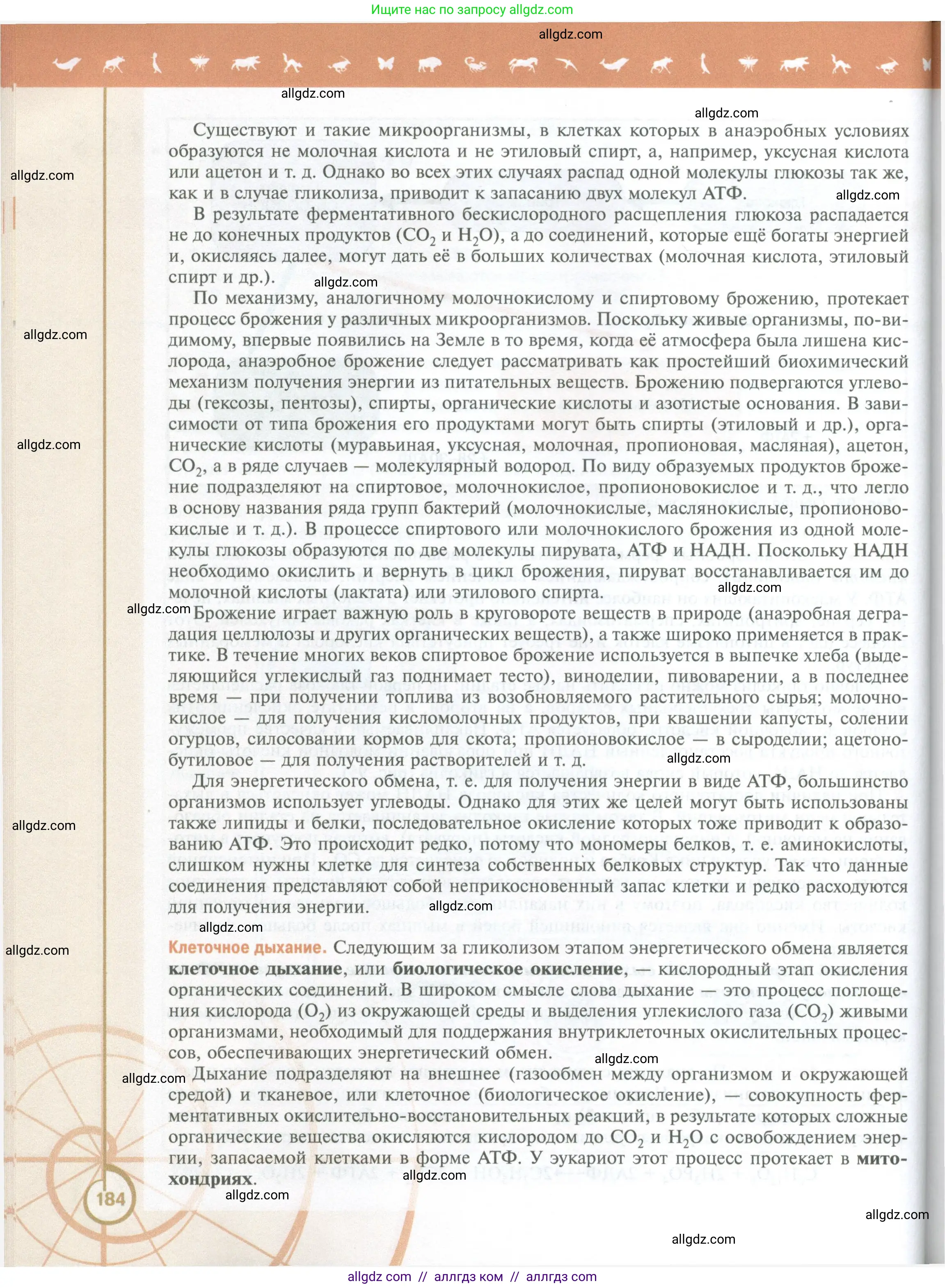 Биология, 10 класс Учебник, авторы: Пасечник Владимир Васильевич, Каменский Андрей Александрович, Рубцов Александр Михайлович, Швецов Глеб Геннадьевич, Абовян Леван Арташесович, Гапонюк Зоя Георгиевна, издательство Просвещение, Москва, 2024, коричневого цвета, страница 184