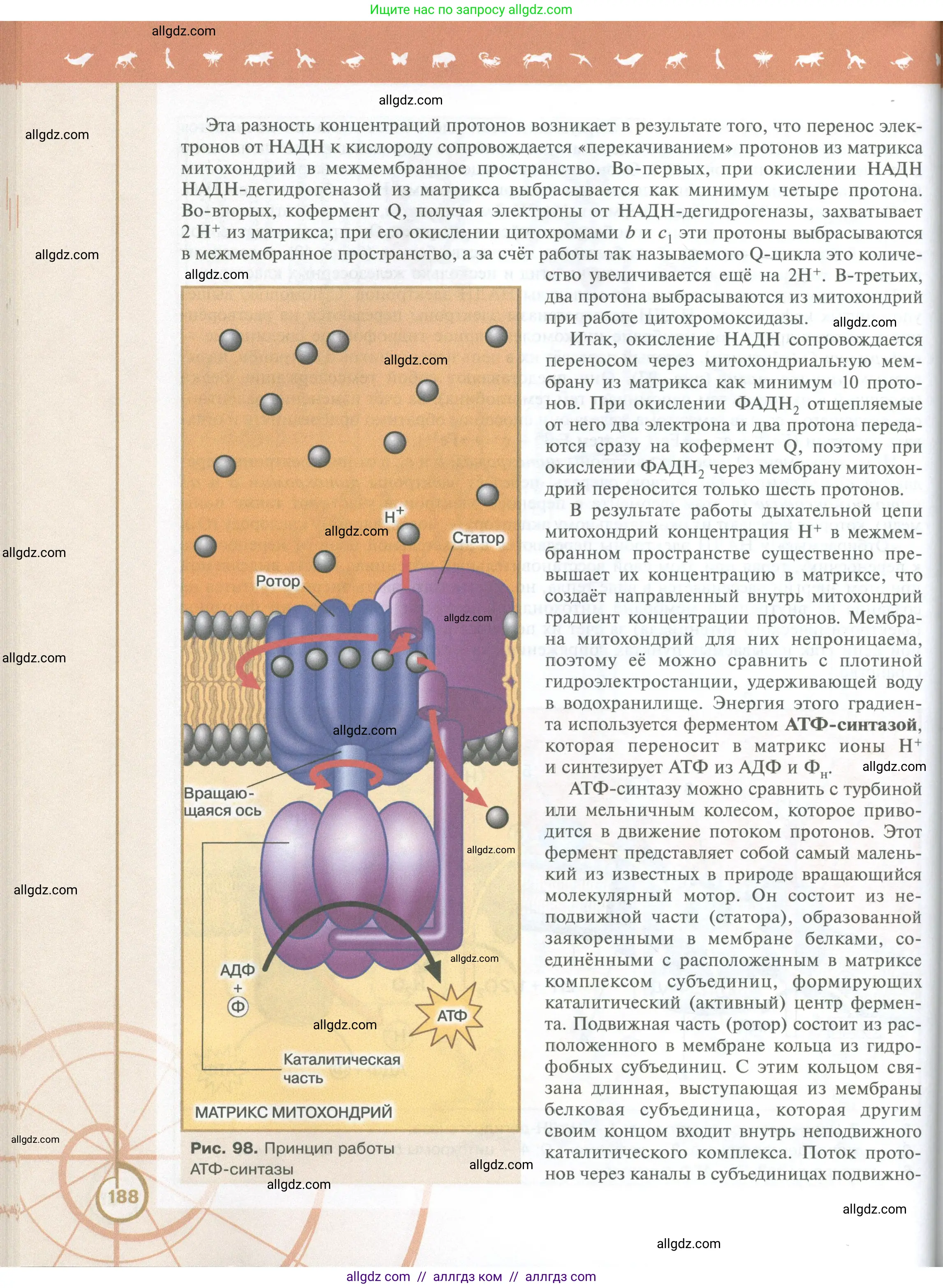 Биология, 10 класс Учебник, авторы: Пасечник Владимир Васильевич, Каменский Андрей Александрович, Рубцов Александр Михайлович, Швецов Глеб Геннадьевич, Абовян Леван Арташесович, Гапонюк Зоя Георгиевна, издательство Просвещение, Москва, 2024, коричневого цвета, страница 188