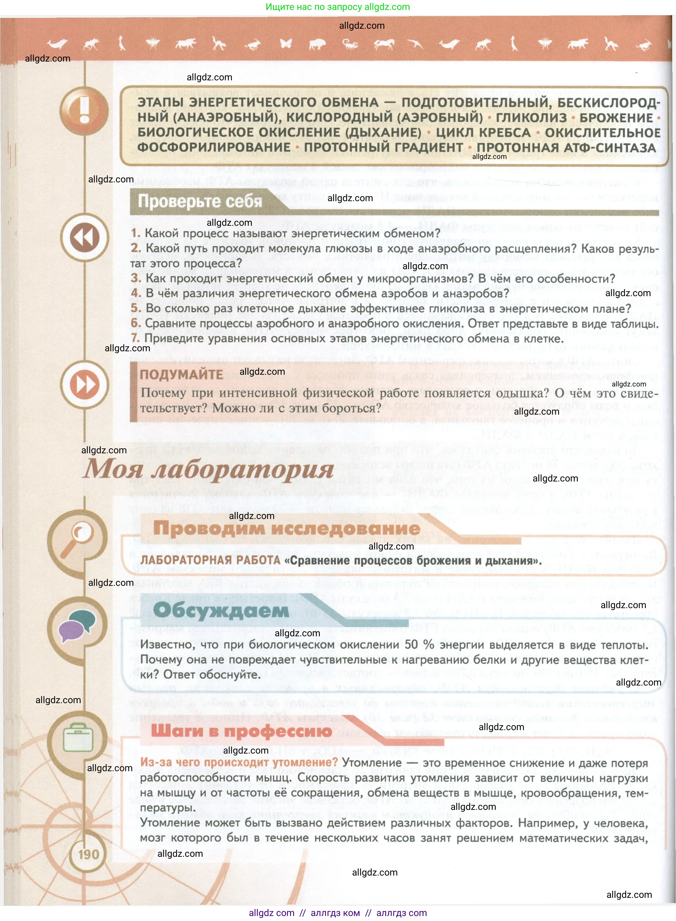 Биология, 10 класс Учебник, авторы: Пасечник Владимир Васильевич, Каменский Андрей Александрович, Рубцов Александр Михайлович, Швецов Глеб Геннадьевич, Абовян Леван Арташесович, Гапонюк Зоя Георгиевна, издательство Просвещение, Москва, 2024, коричневого цвета, Часть 1, страница 190