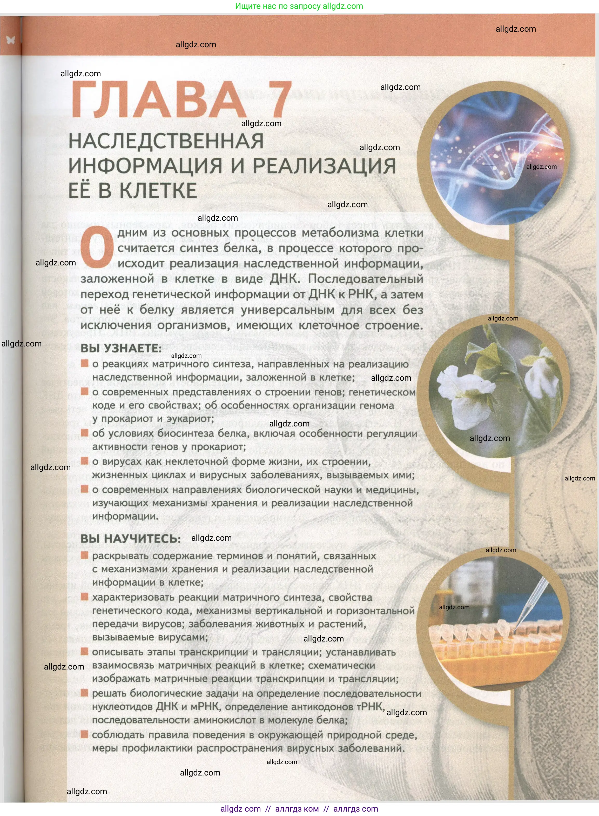 Биология, 10 класс Учебник, авторы: Пасечник Владимир Васильевич, Каменский Андрей Александрович, Рубцов Александр Михайлович, Швецов Глеб Геннадьевич, Абовян Леван Арташесович, Гапонюк Зоя Георгиевна, издательство Просвещение, Москва, 2024, коричневого цвета, страница 193