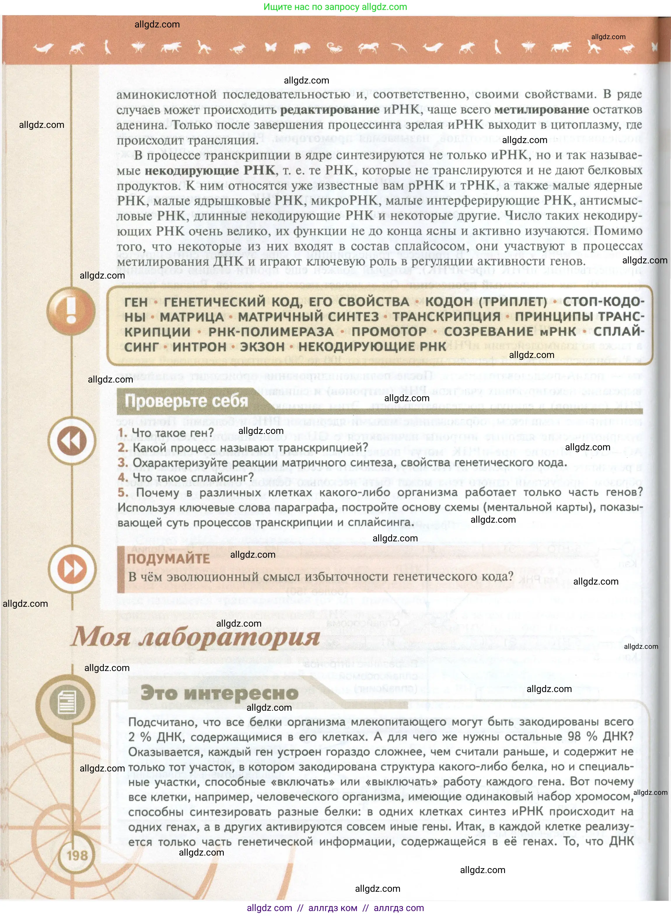 Биология, 10 класс Учебник, авторы: Пасечник Владимир Васильевич, Каменский Андрей Александрович, Рубцов Александр Михайлович, Швецов Глеб Геннадьевич, Абовян Леван Арташесович, Гапонюк Зоя Георгиевна, издательство Просвещение, Москва, 2024, коричневого цвета, Часть 1, страница 198