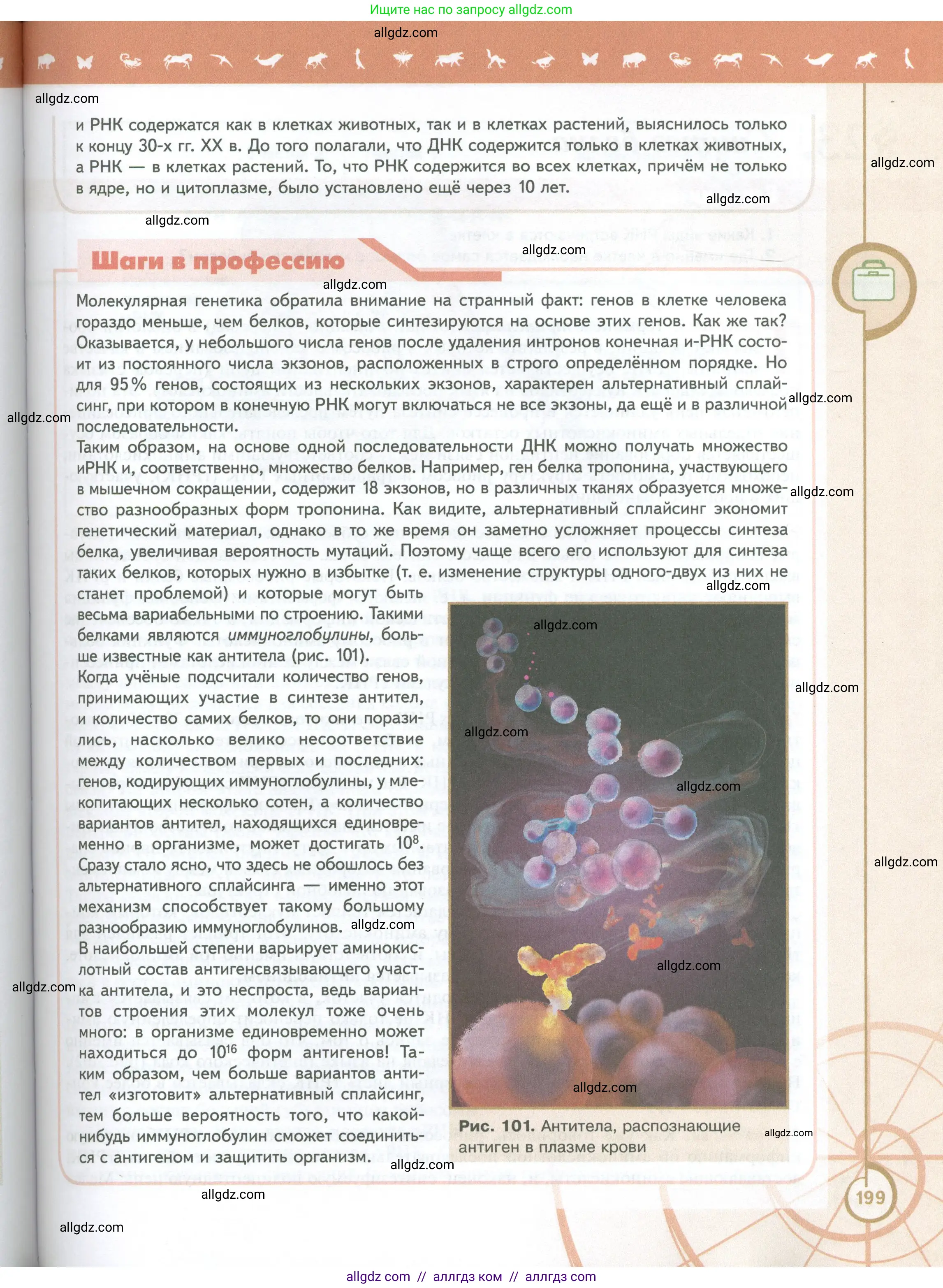 Биология, 10 класс Учебник, авторы: Пасечник Владимир Васильевич, Каменский Андрей Александрович, Рубцов Александр Михайлович, Швецов Глеб Геннадьевич, Абовян Леван Арташесович, Гапонюк Зоя Георгиевна, издательство Просвещение, Москва, 2024, коричневого цвета, страница 199