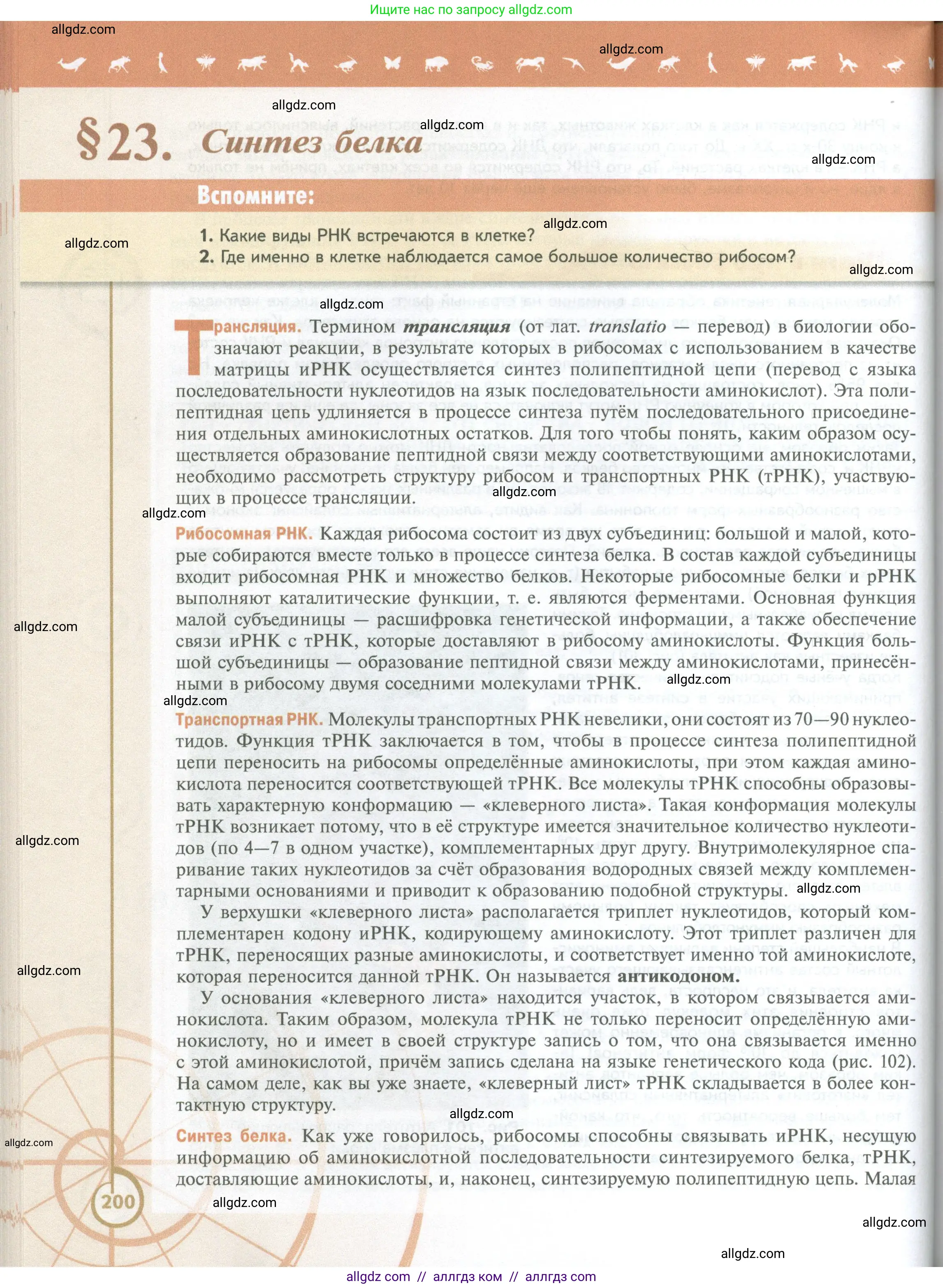 Биология, 10 класс Учебник, авторы: Пасечник Владимир Васильевич, Каменский Андрей Александрович, Рубцов Александр Михайлович, Швецов Глеб Геннадьевич, Абовян Леван Арташесович, Гапонюк Зоя Георгиевна, издательство Просвещение, Москва, 2024, коричневого цвета, Часть 1, страница 200