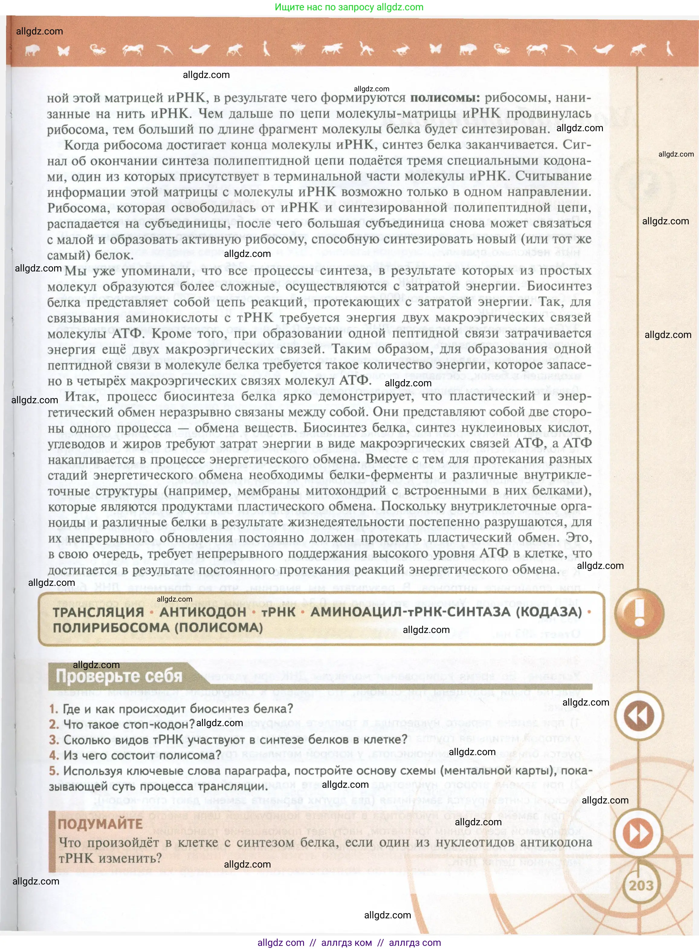 Биология, 10 класс Учебник, авторы: Пасечник Владимир Васильевич, Каменский Андрей Александрович, Рубцов Александр Михайлович, Швецов Глеб Геннадьевич, Абовян Леван Арташесович, Гапонюк Зоя Георгиевна, издательство Просвещение, Москва, 2024, коричневого цвета, Часть 1, страница 203
