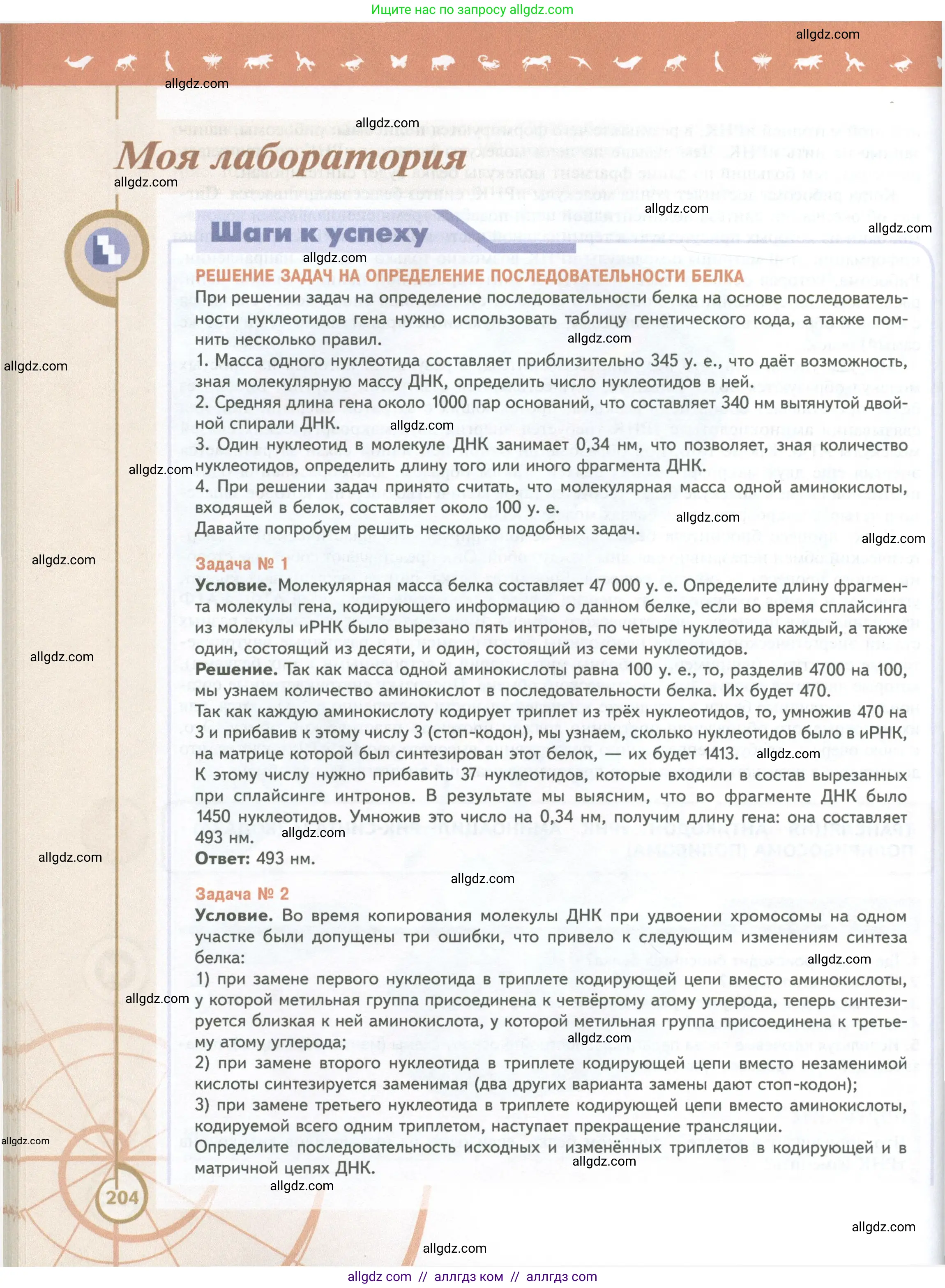 Биология, 10 класс Учебник, авторы: Пасечник Владимир Васильевич, Каменский Андрей Александрович, Рубцов Александр Михайлович, Швецов Глеб Геннадьевич, Абовян Леван Арташесович, Гапонюк Зоя Георгиевна, издательство Просвещение, Москва, 2024, коричневого цвета, страница 204