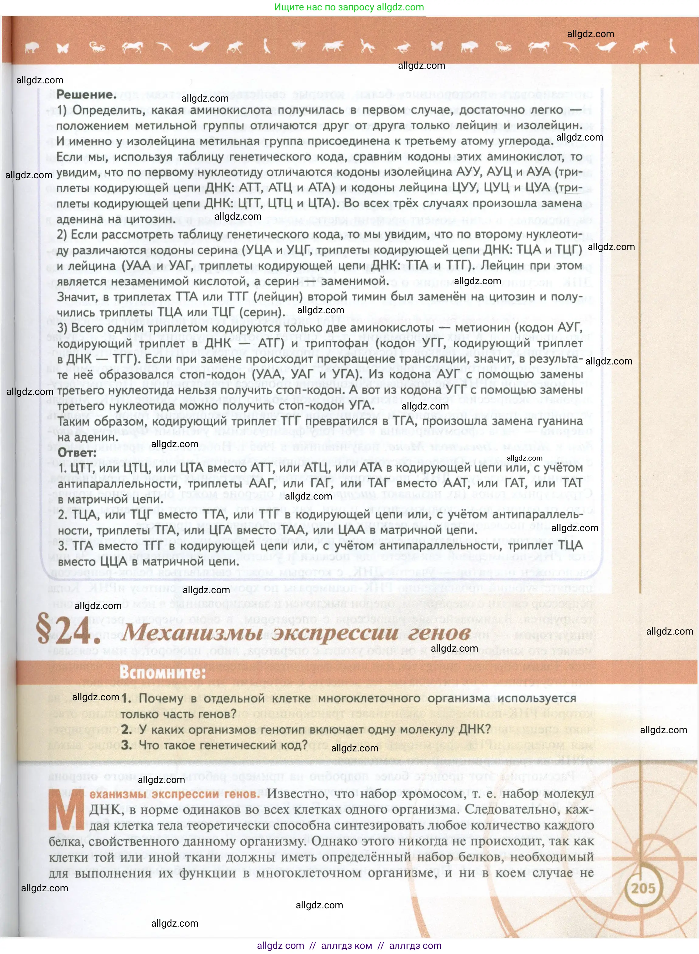 Биология, 10 класс Учебник, авторы: Пасечник Владимир Васильевич, Каменский Андрей Александрович, Рубцов Александр Михайлович, Швецов Глеб Геннадьевич, Абовян Леван Арташесович, Гапонюк Зоя Георгиевна, издательство Просвещение, Москва, 2024, коричневого цвета, Часть 1, страница 205